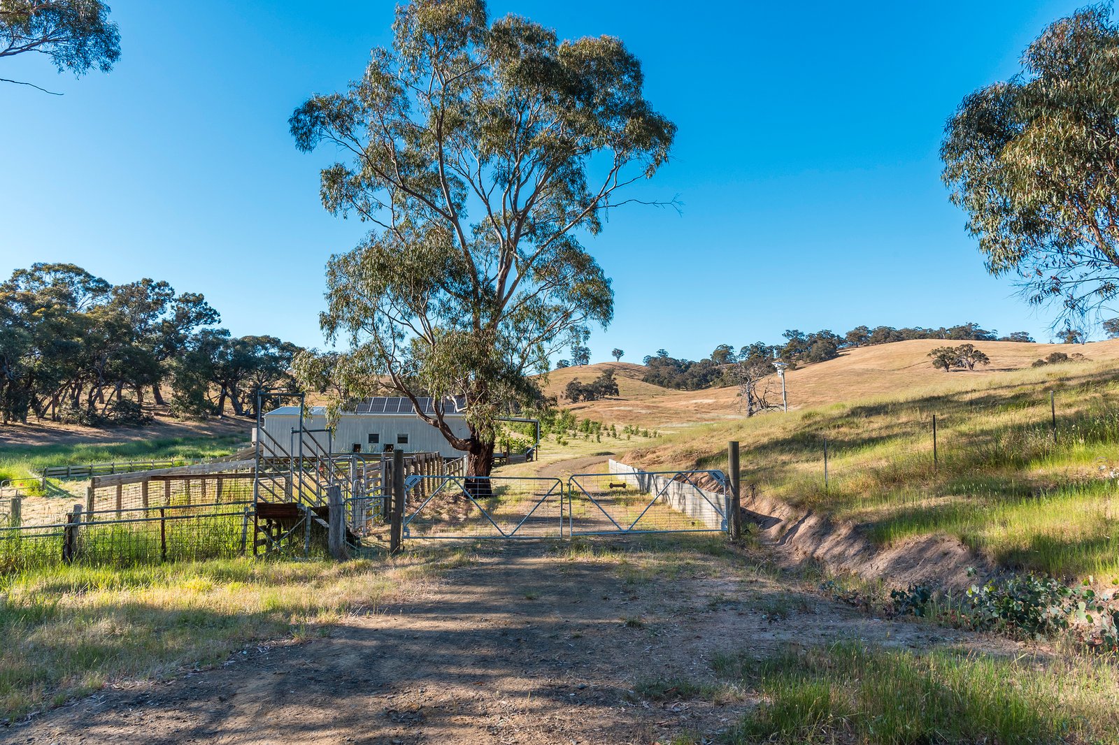Real Estate and Property in 679 Dallistons Road, Barfold, VIC
