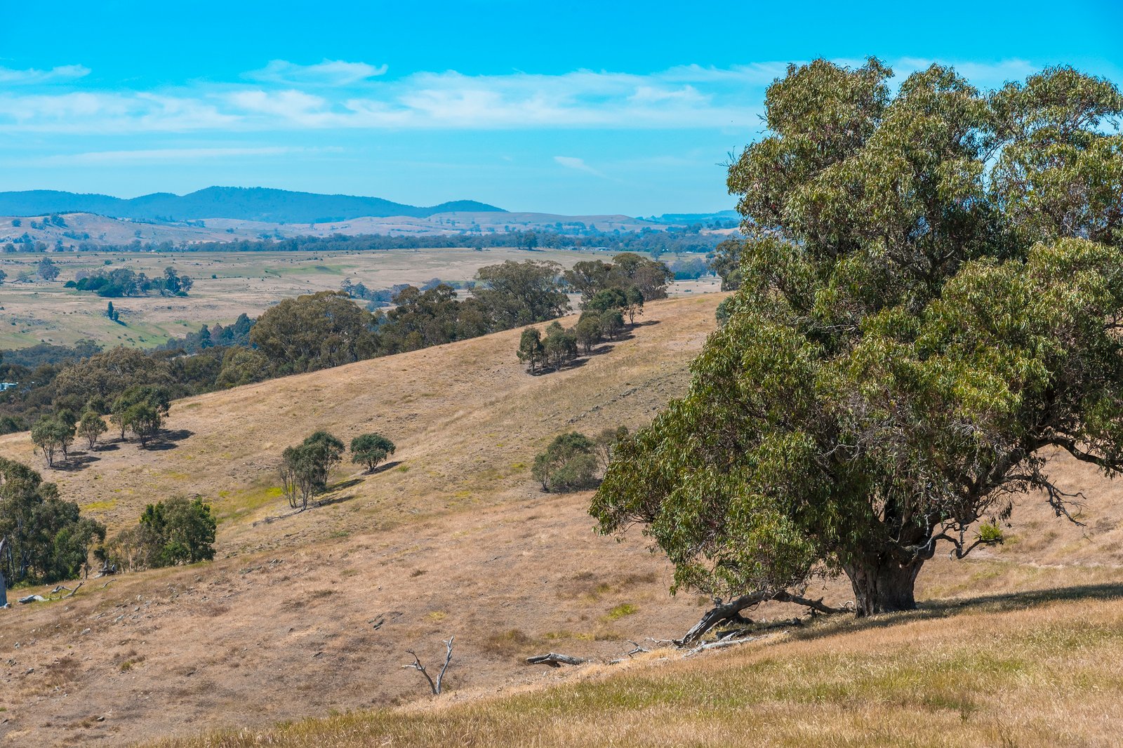 Real Estate and Property in 679 Dallistons Road, Barfold, VIC