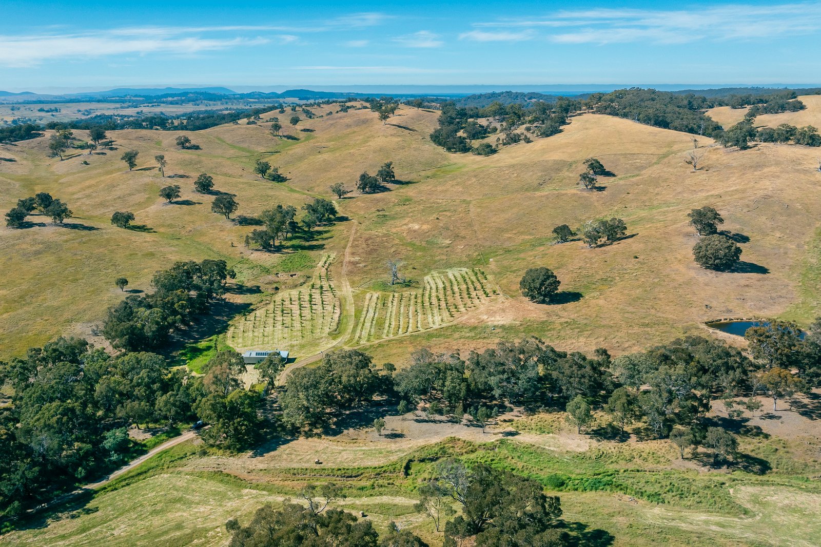 Real Estate and Property in 679 Dallistons Road, Barfold, VIC