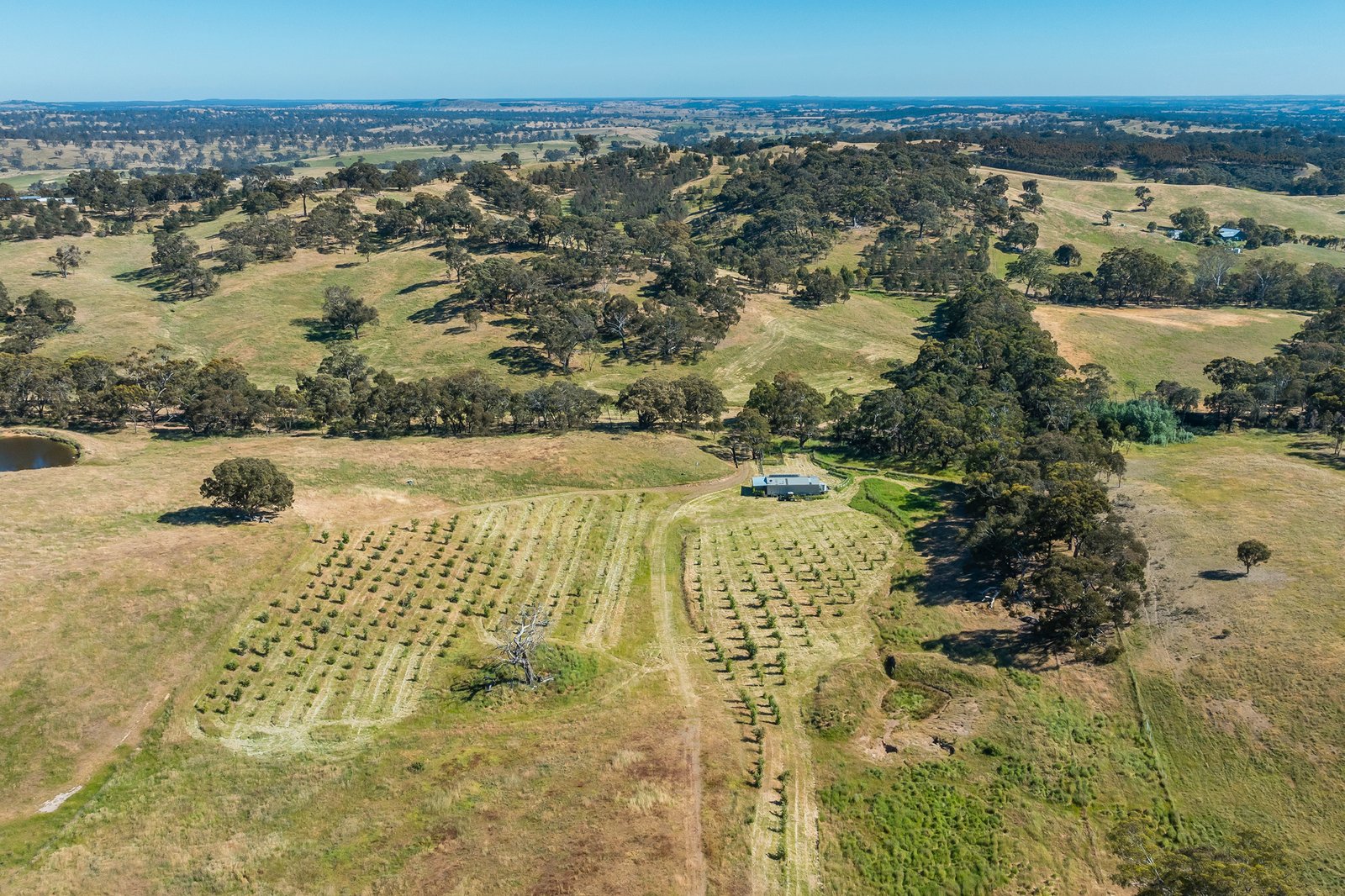 Real Estate and Property in 679 Dallistons Road, Barfold, VIC