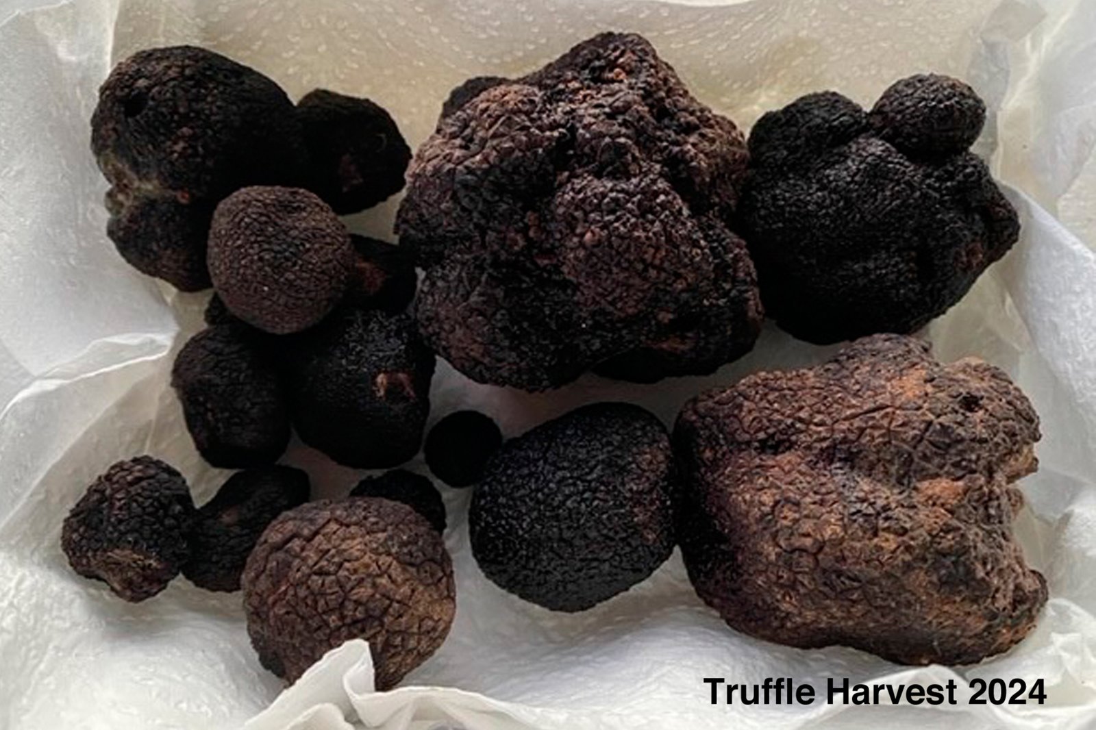 Real Estate and Property in 679 Dallistons Road, Barfold, VIC