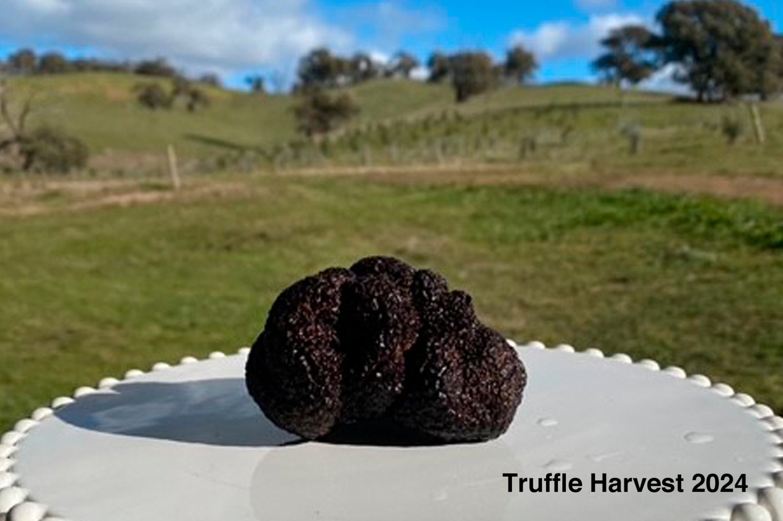 Real Estate and Property in 679 Dallistons Road, Barfold, VIC