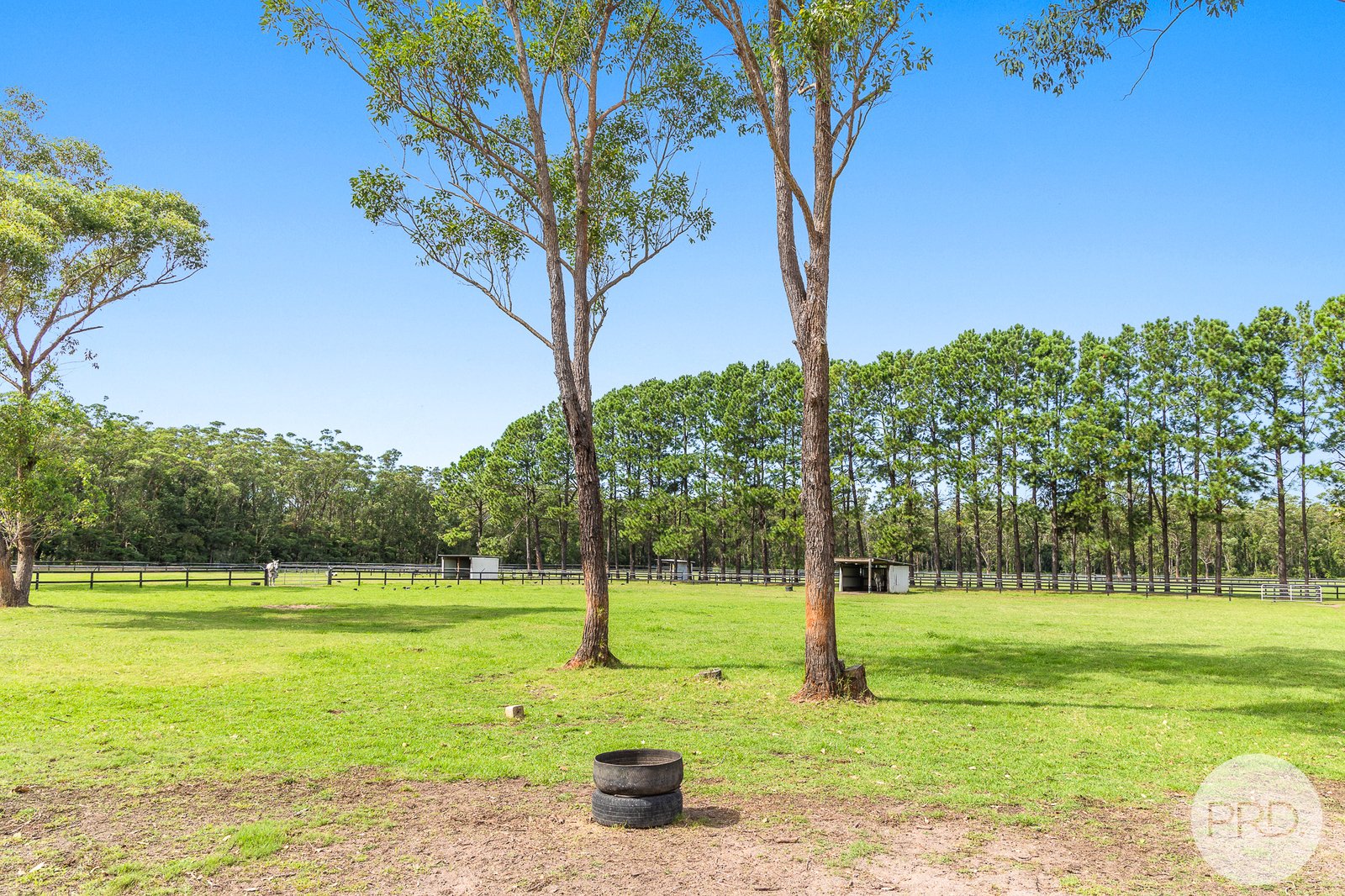 67A Abundance Road MEDOWIE 27