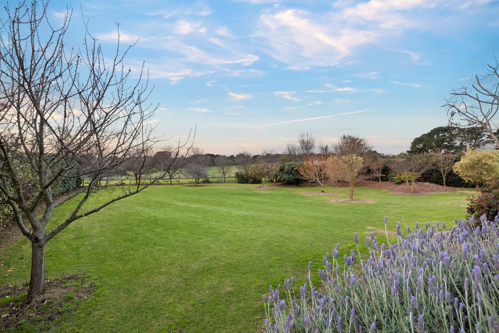 Real Estate and Property in 68-82 Arrigo Drive, Wallington, VIC