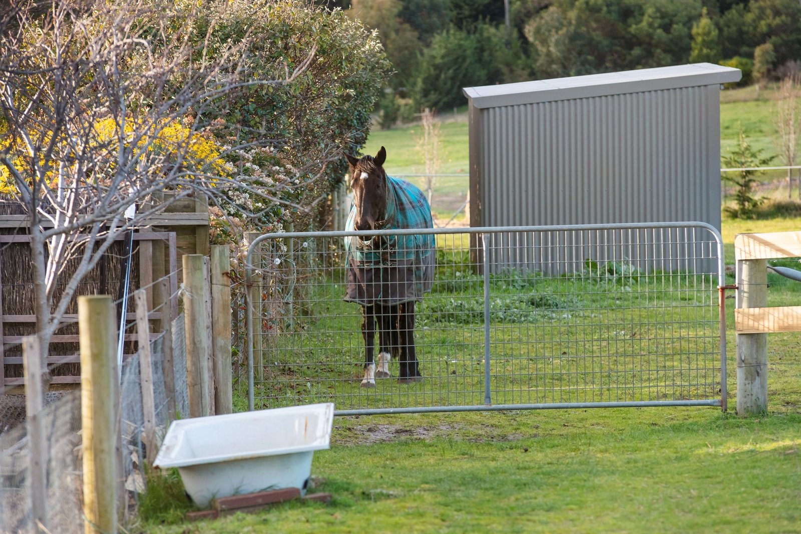 Real Estate and Property in 68-82 Arrigo Drive, Wallington, VIC