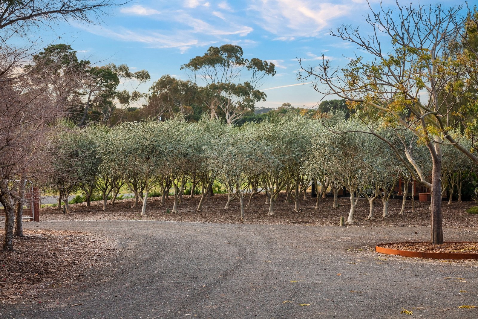 Real Estate and Property in 68-82 Arrigo Drive, Wallington, VIC