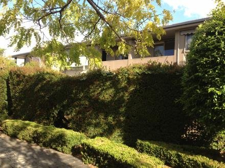 Gallery: 6/8 Cavendish Place