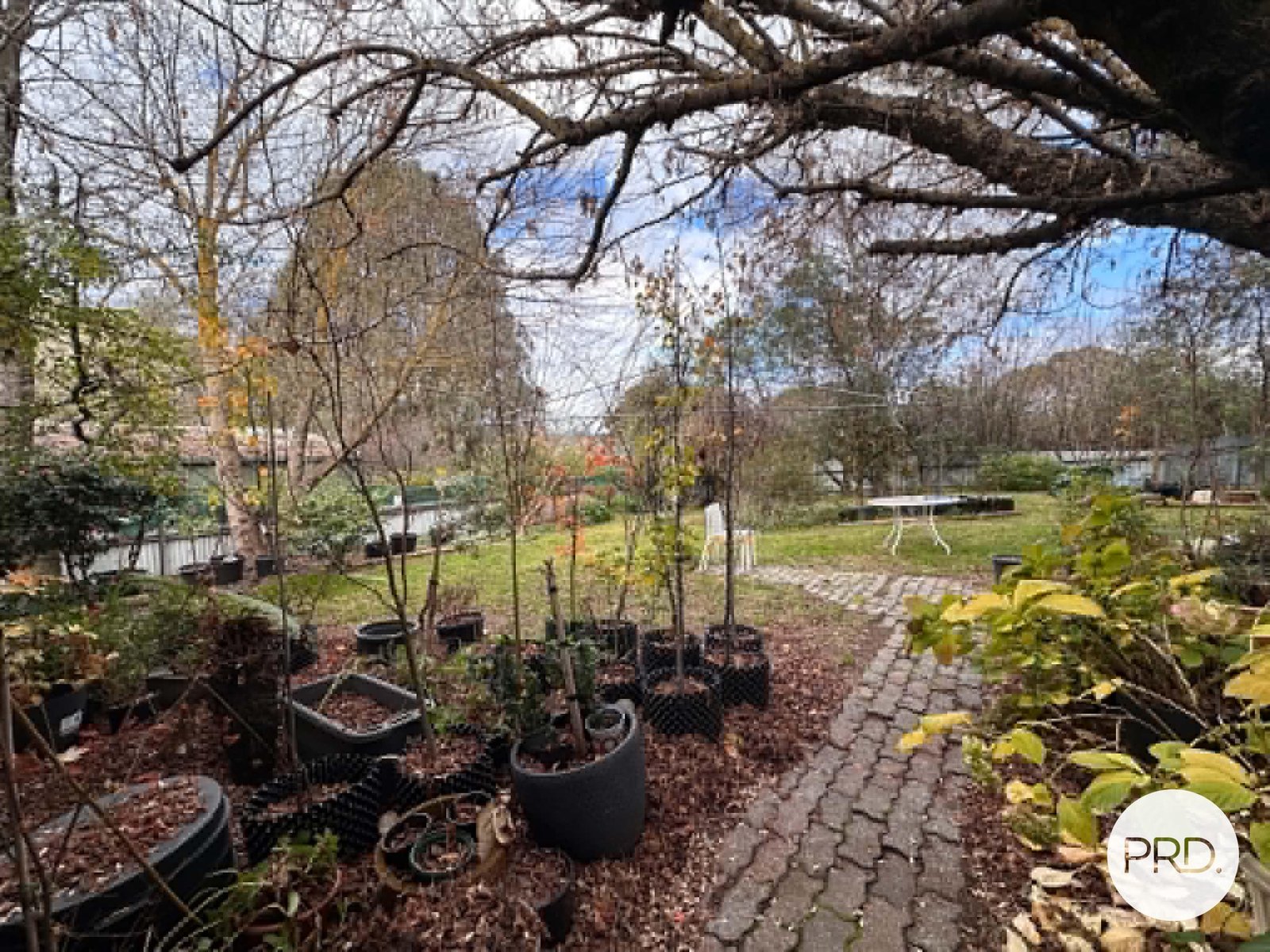 68 Clara Street TUMBARUMBA 11