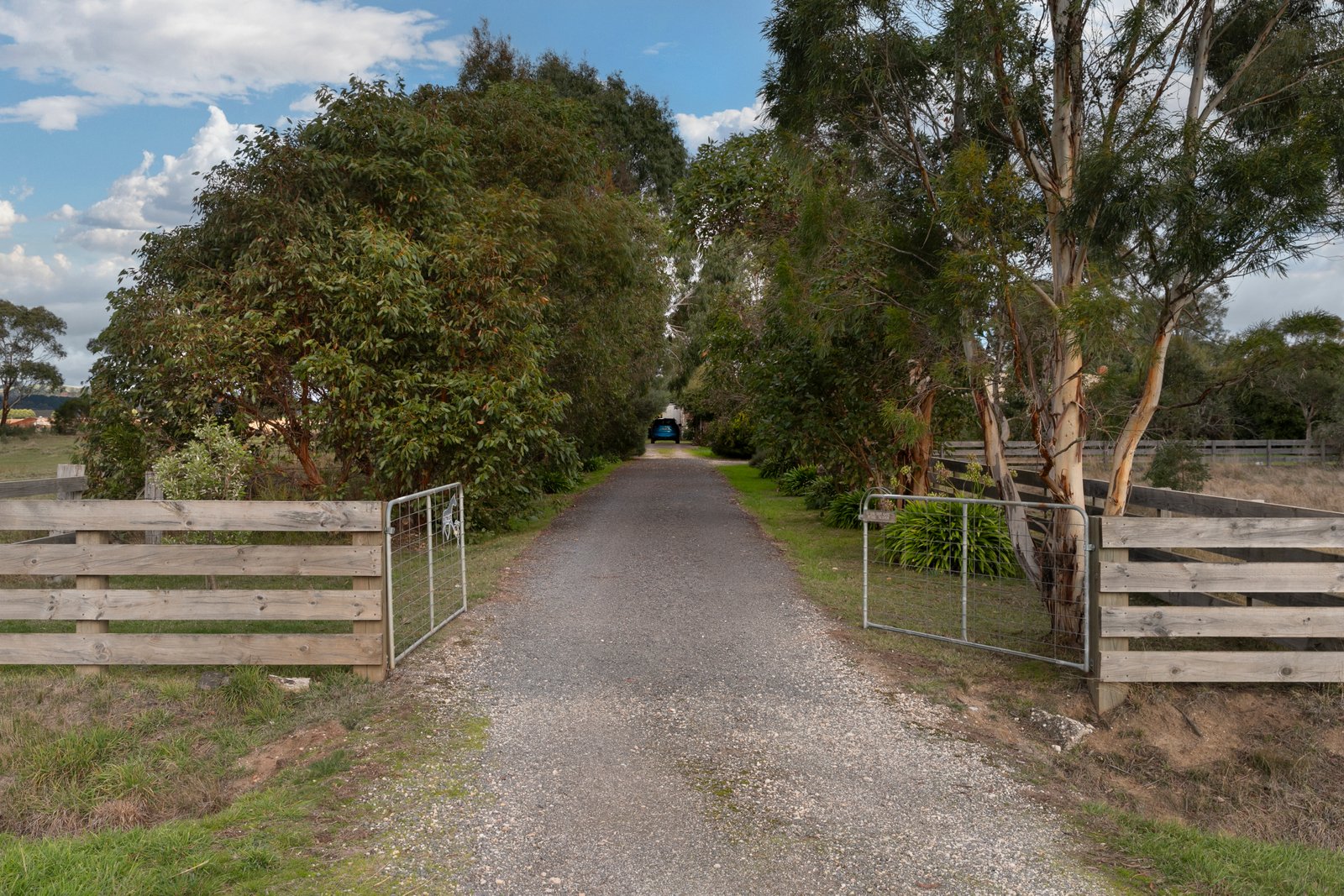 68 Long Swamp Road NEWLYN 20