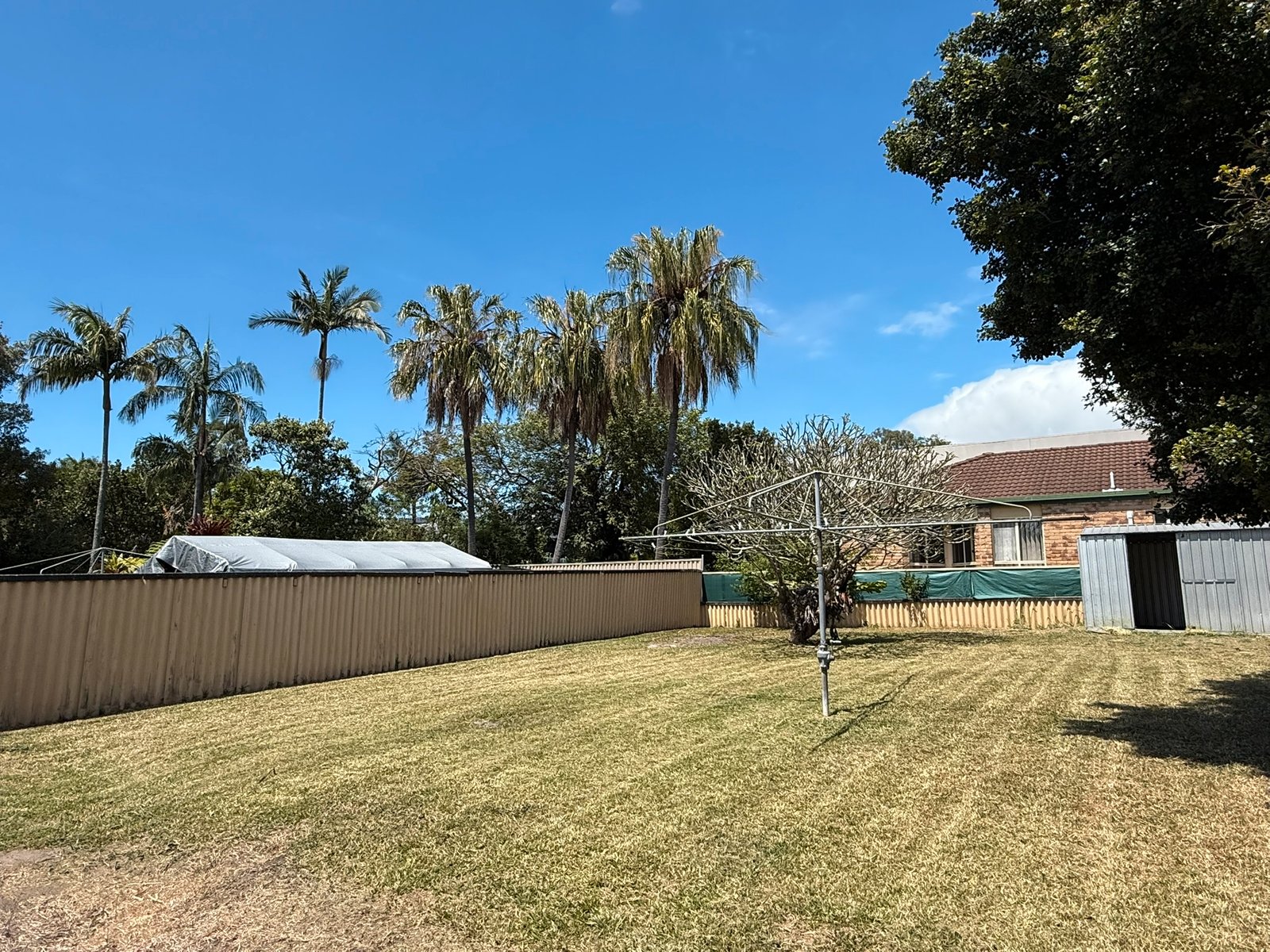 68 Robert Street LABRADOR 1
