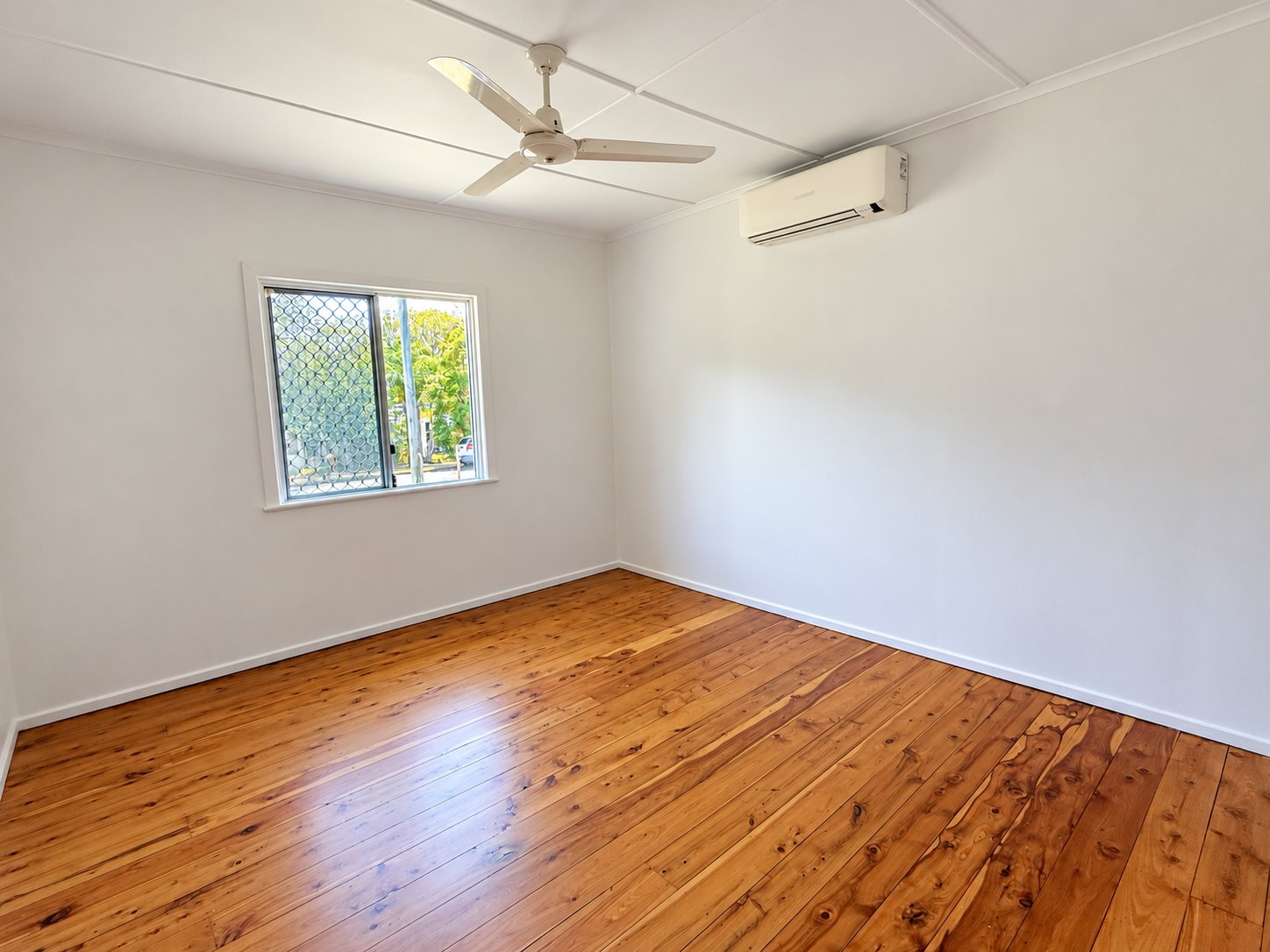 68 Robert Street LABRADOR 5