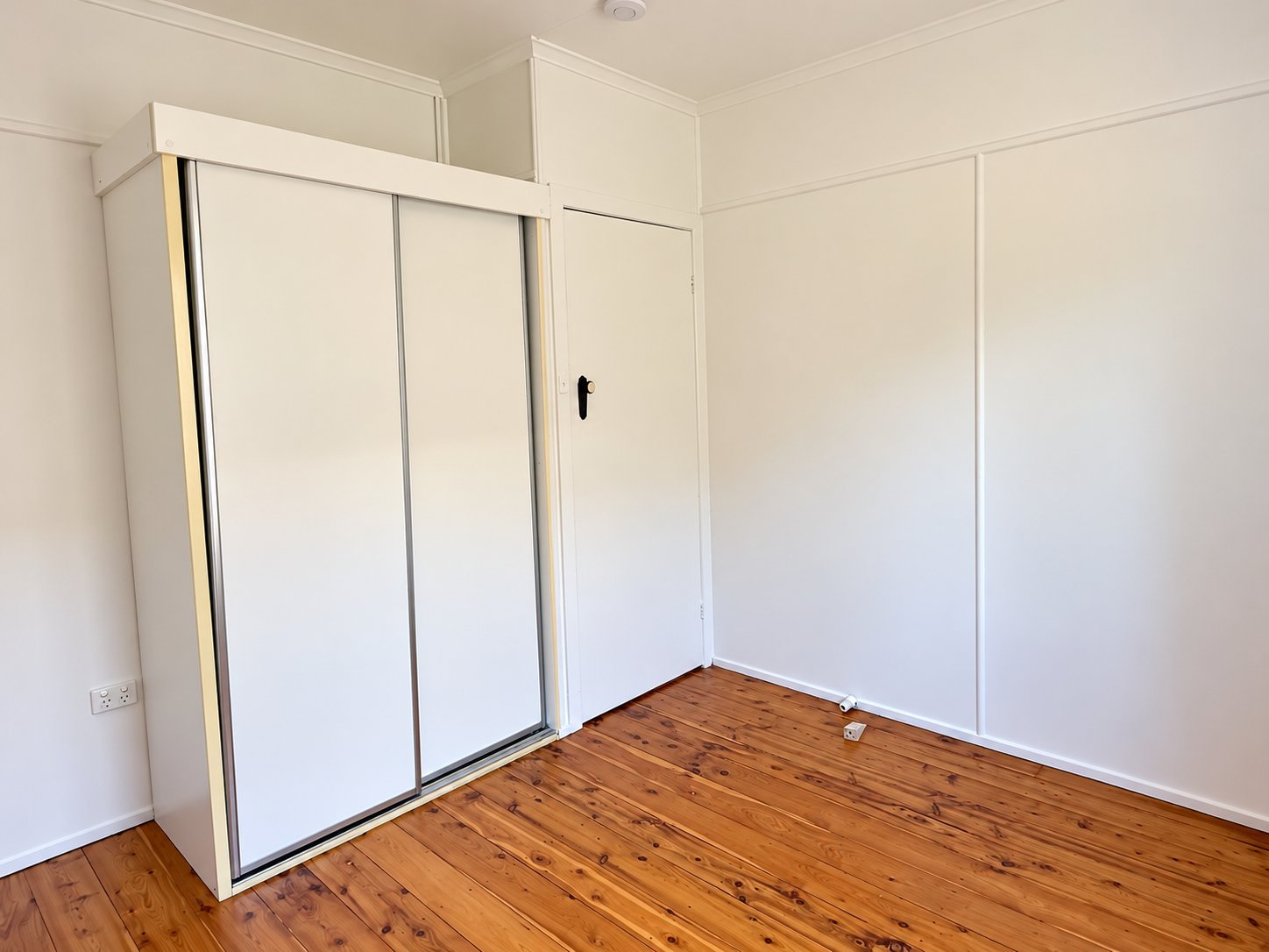 68 Robert Street LABRADOR 8
