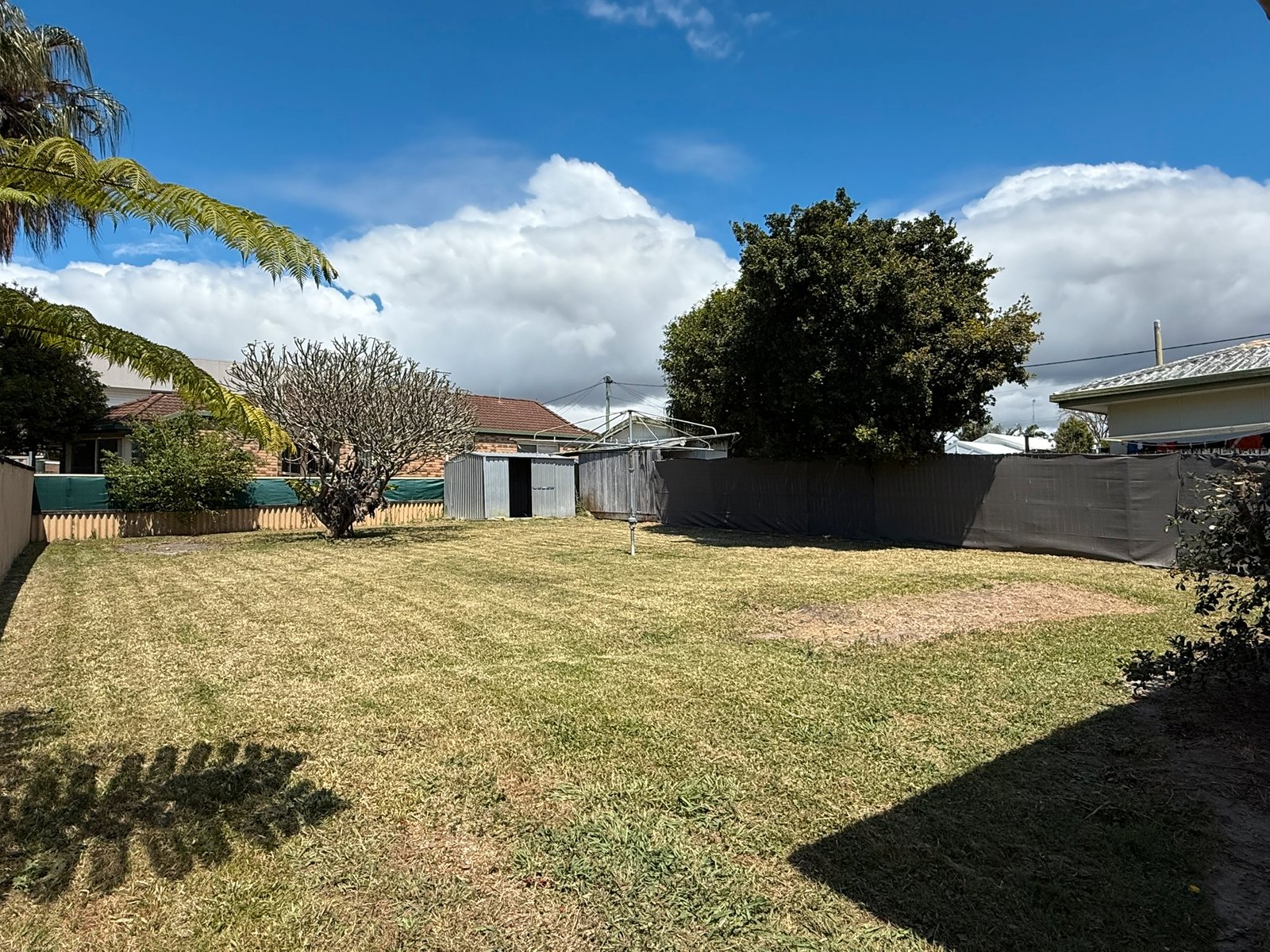 68 Robert Street LABRADOR 11