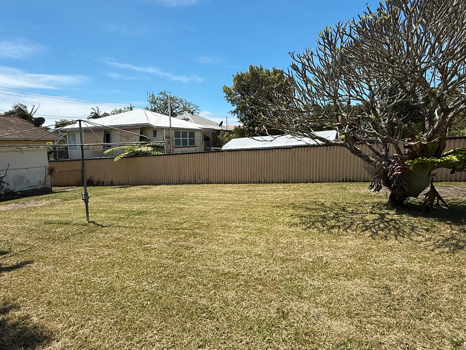 68 Robert Street LABRADOR 12