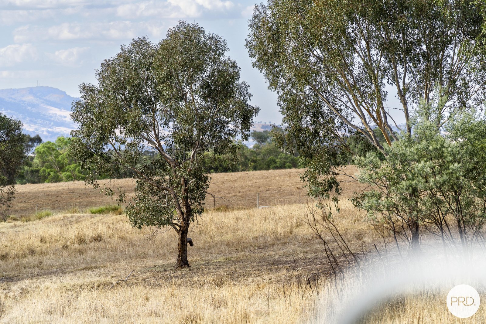 68 Rocky Hill Retreat WIRLINGA 6