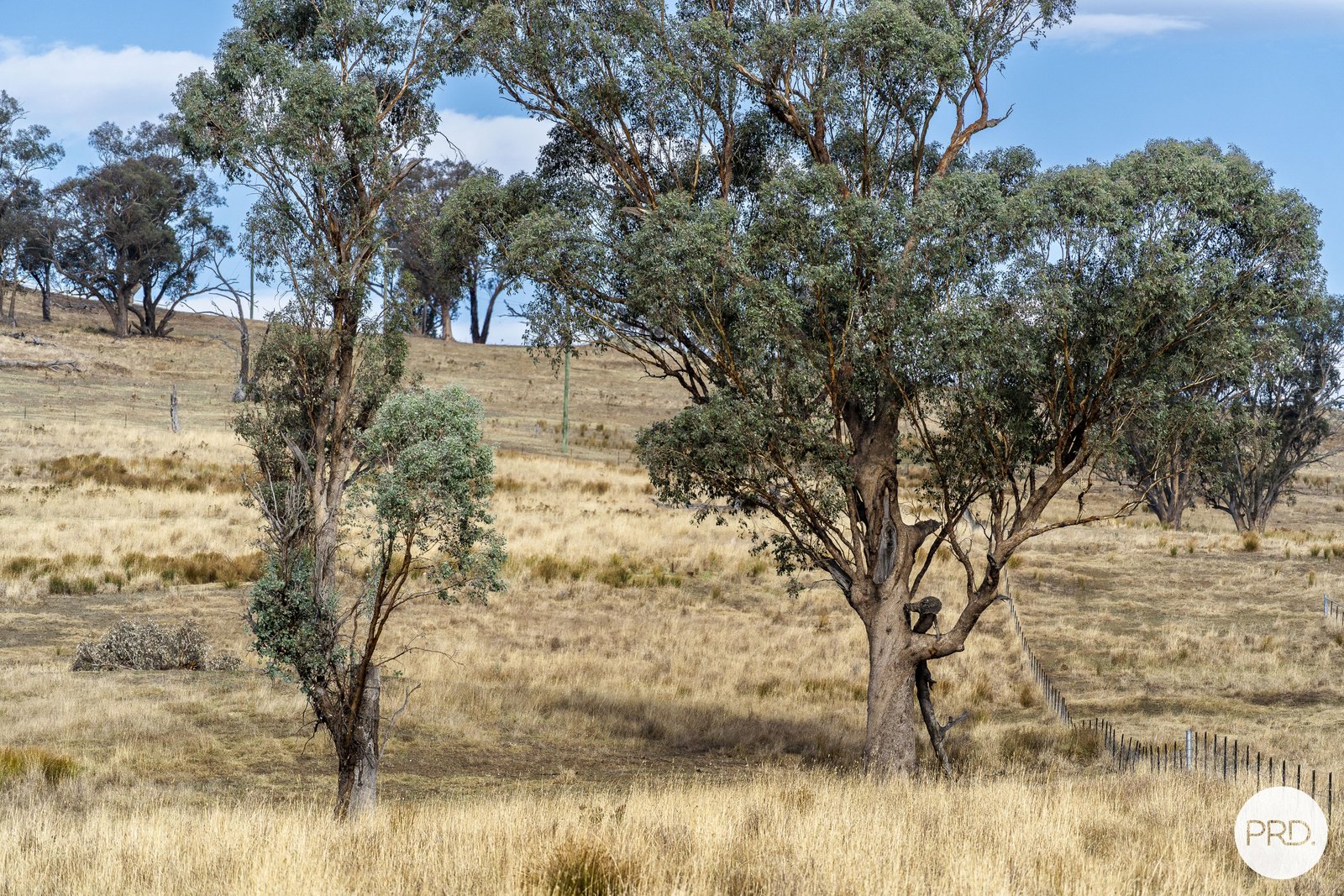 68 Rocky Hill Retreat WIRLINGA 7