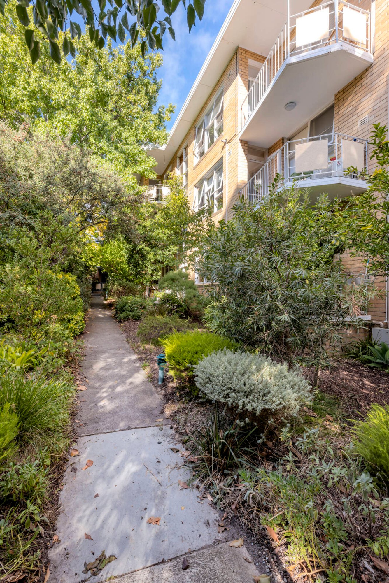Gallery: 6/8 Westbury Street
