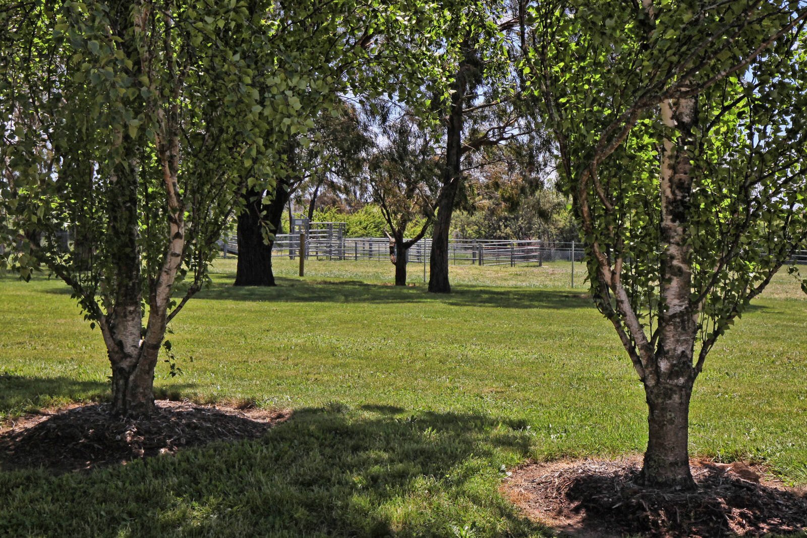 Real Estate and Property in 680 Chanters Lane, Tylden, VIC