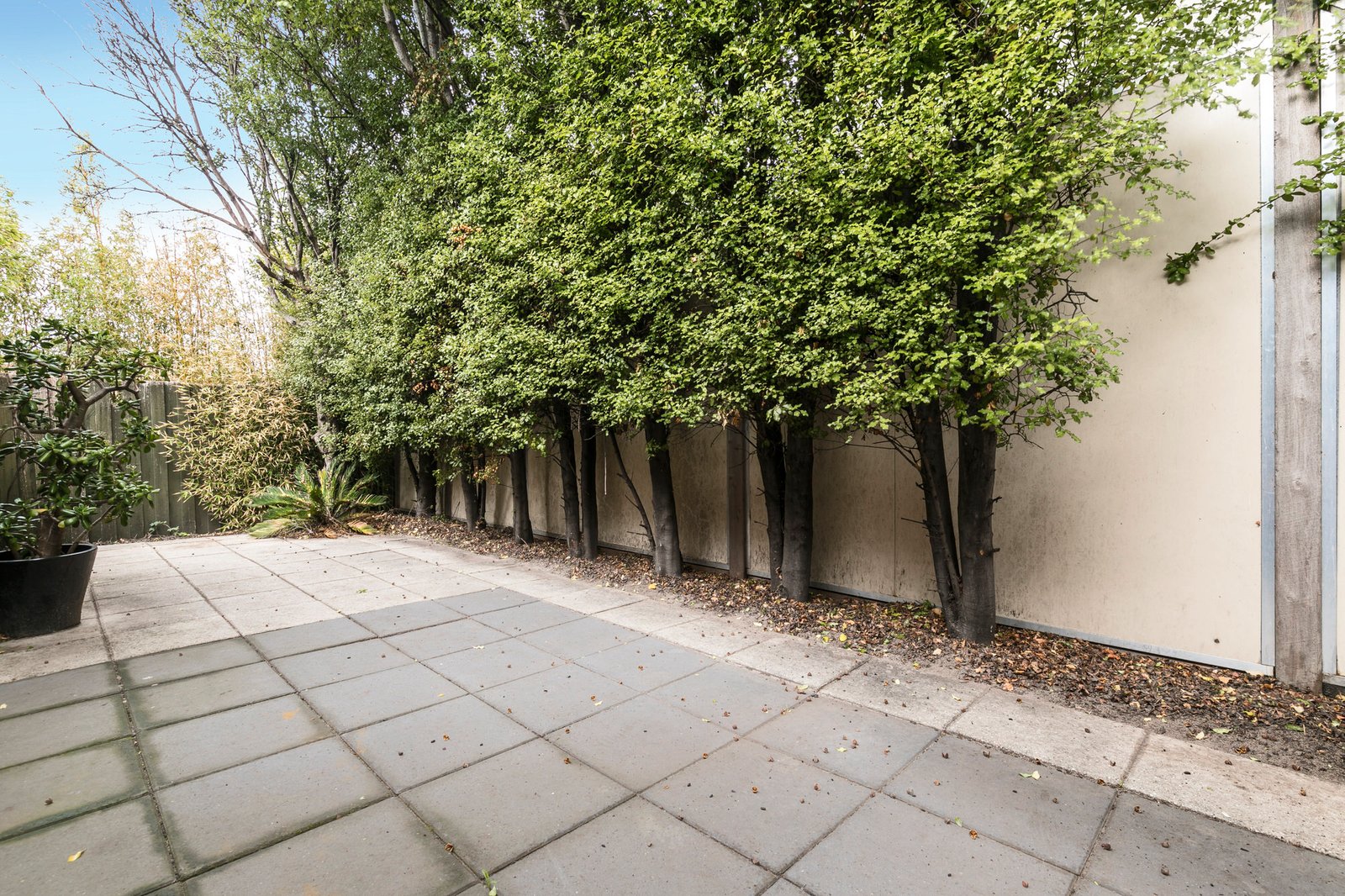 Gallery: 6/80 Warrigal Road