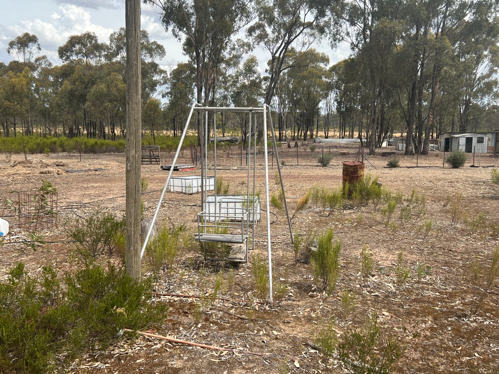 680 Willow Road MURCHISON 5