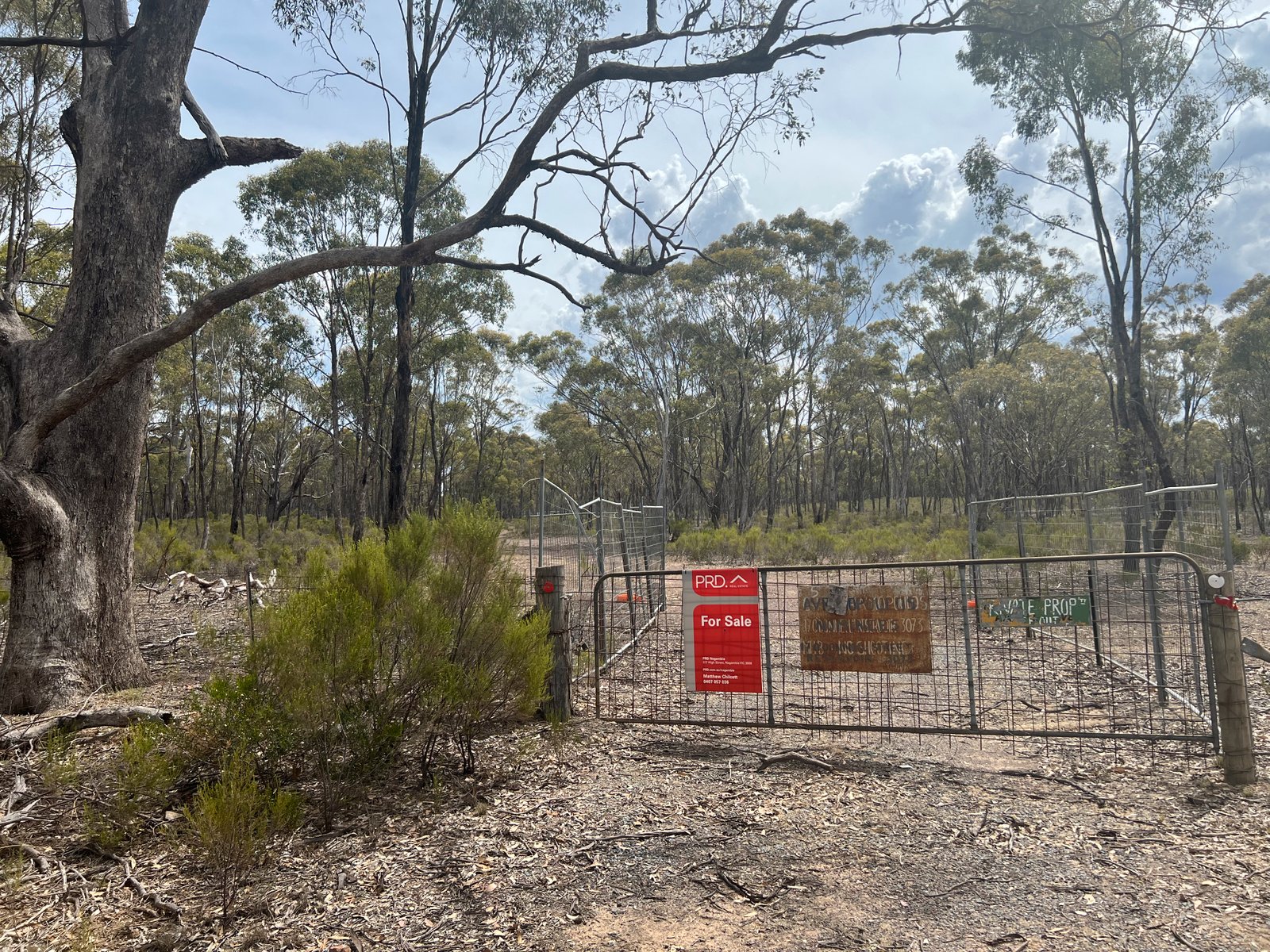 680 Willow Road MURCHISON 6