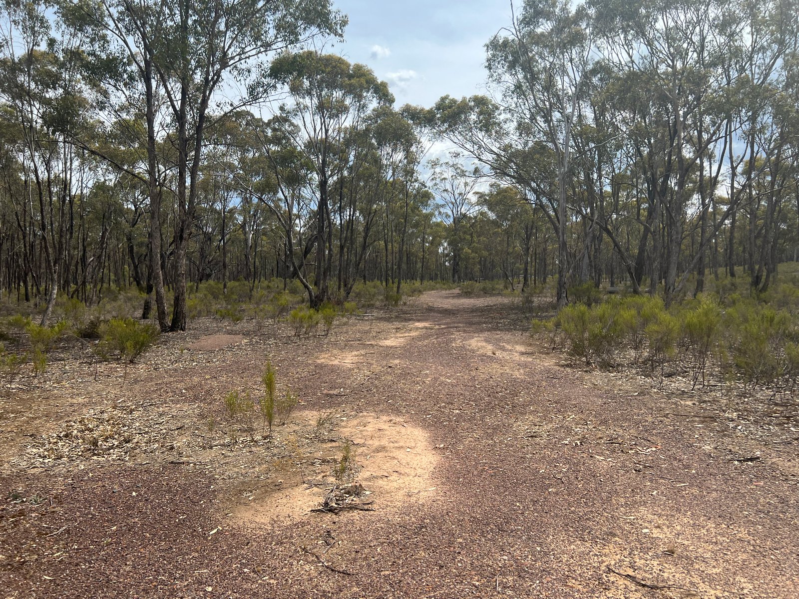 680 Willow Road MURCHISON 7