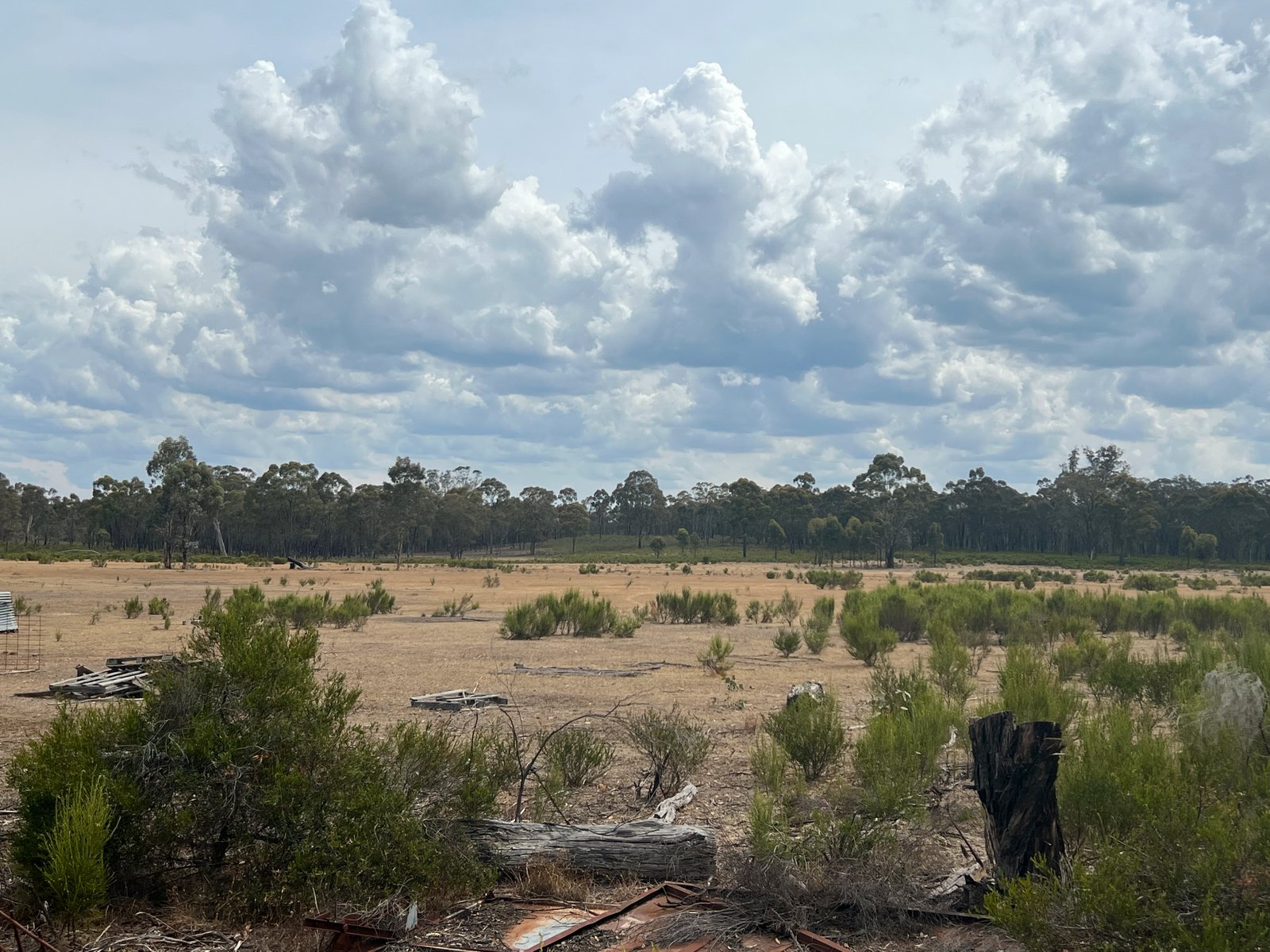 680 Willow Road MURCHISON 8