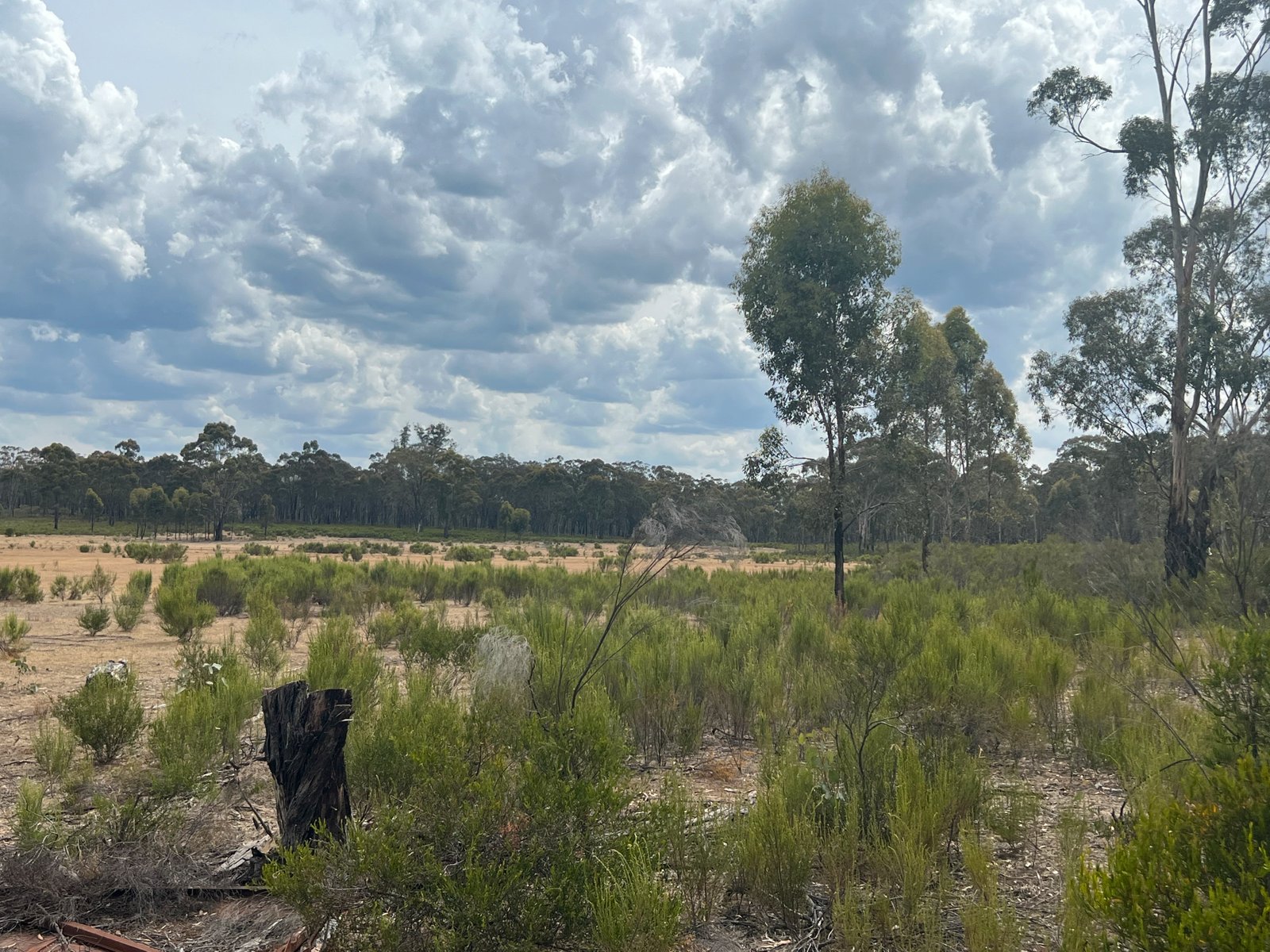 680 Willow Road MURCHISON 9