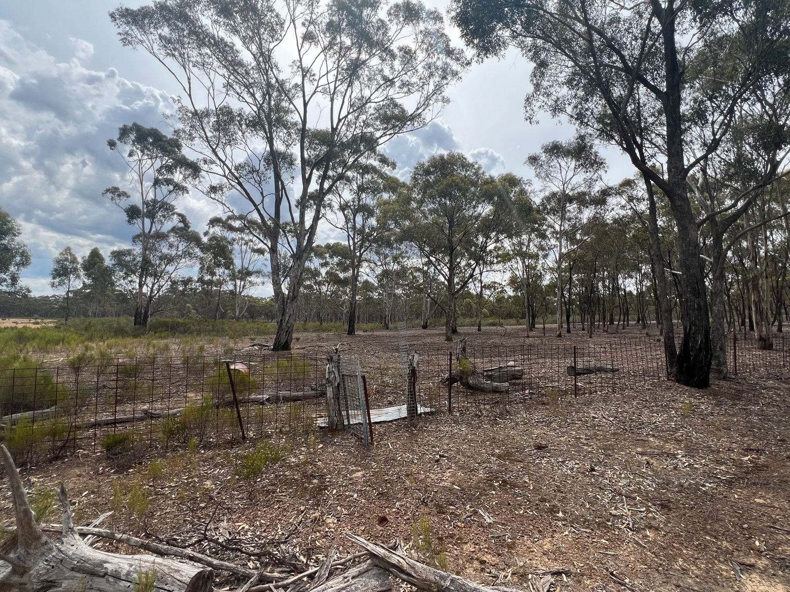 680 Willow Road MURCHISON 10