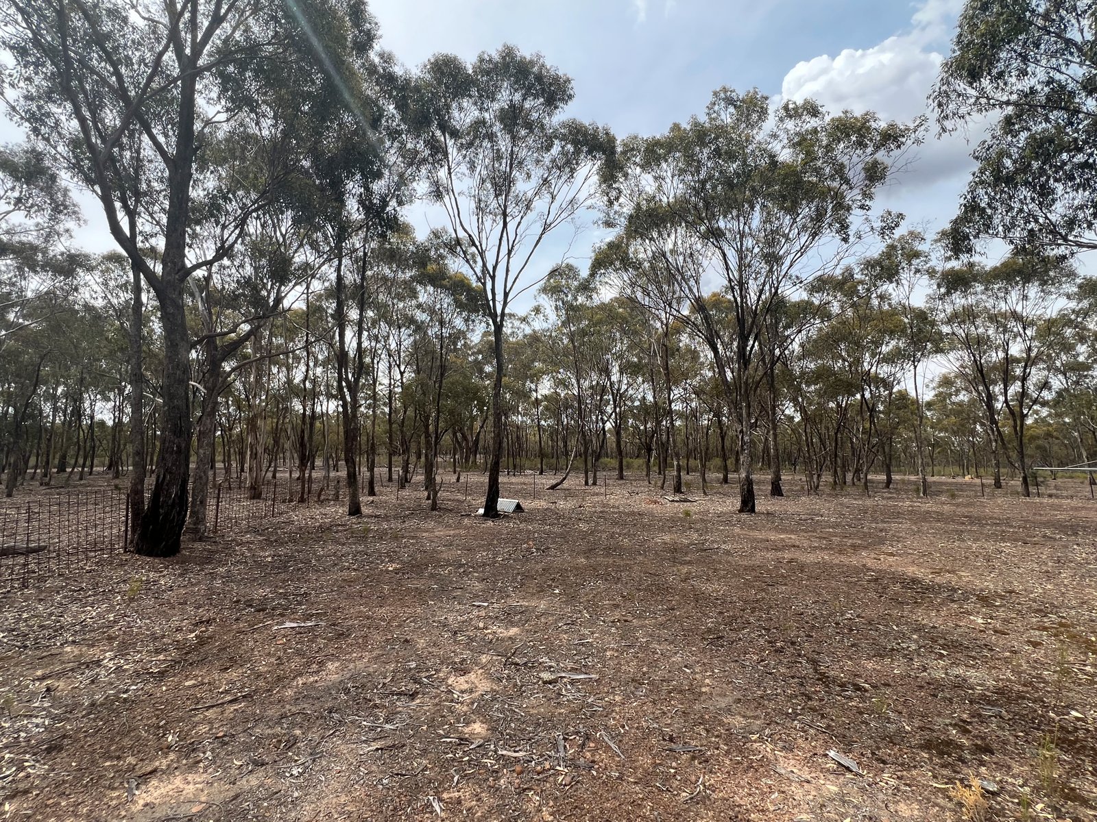 680 Willow Road MURCHISON 11