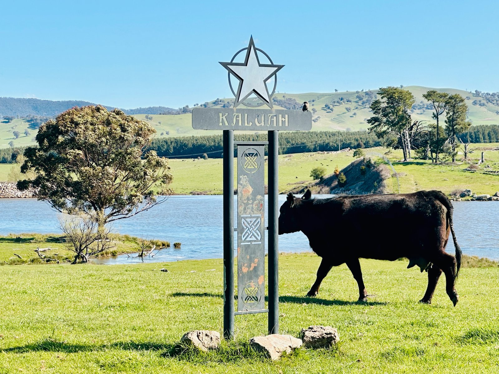 681 Mannus Lake Road TUMBARUMBA 2