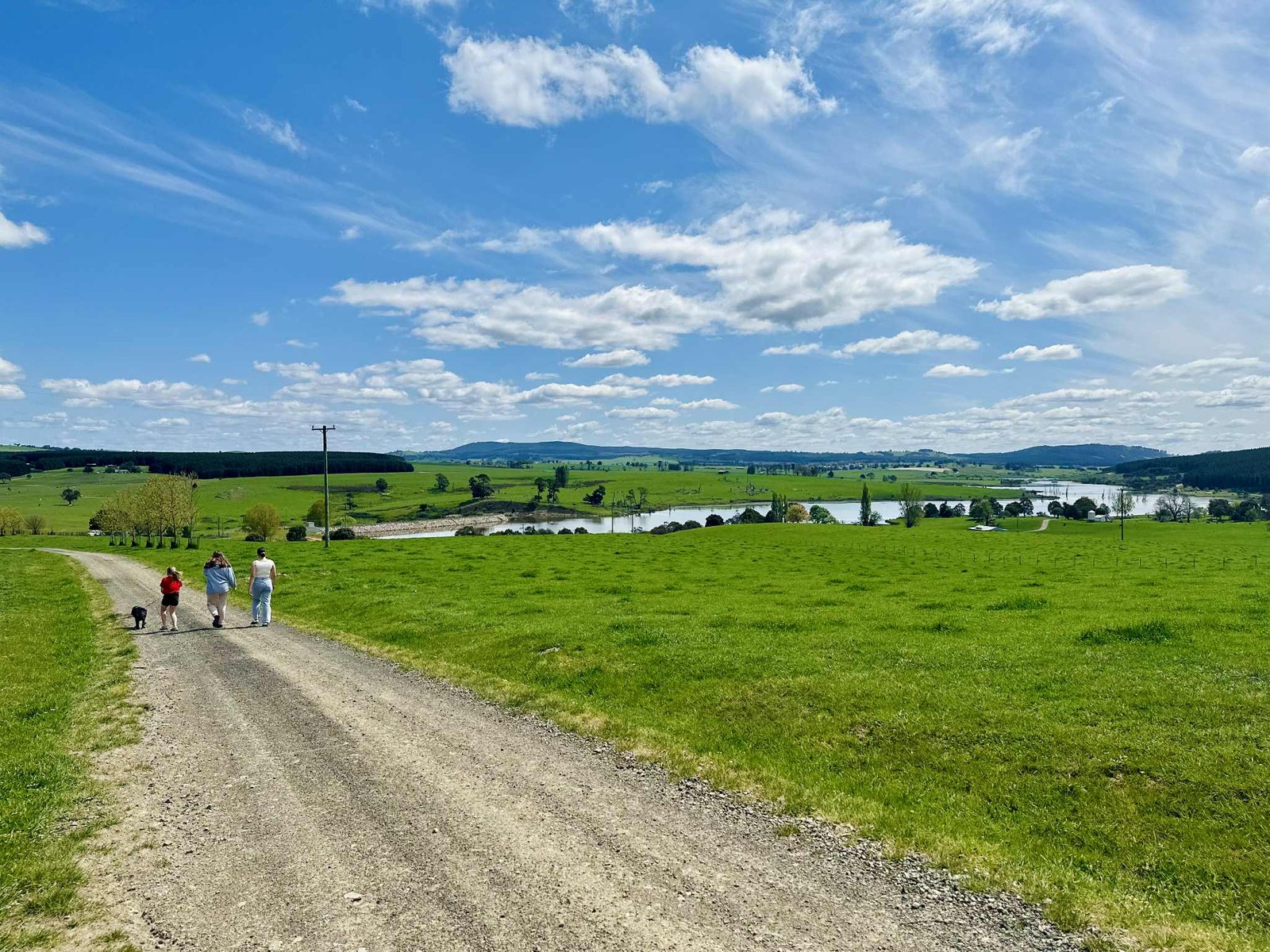 681 Mannus Lake Road TUMBARUMBA 31