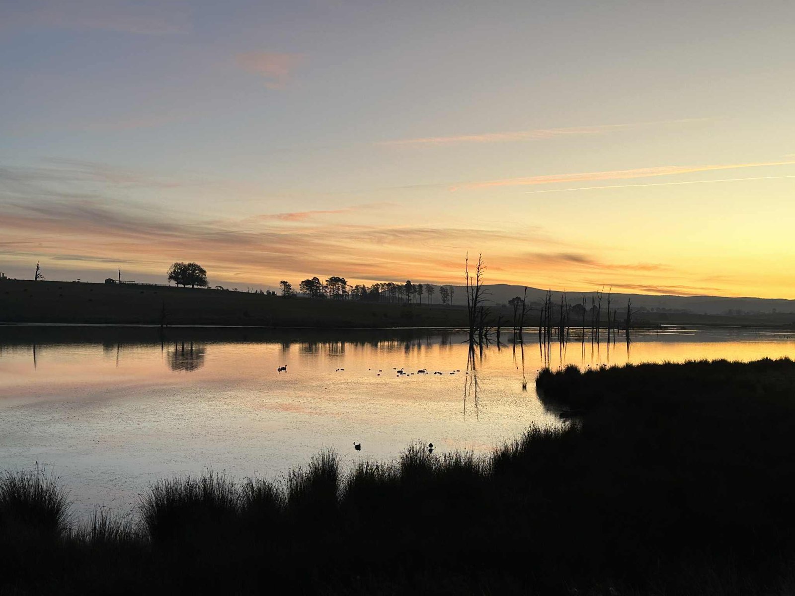 681 Mannus Lake Road TUMBARUMBA 32