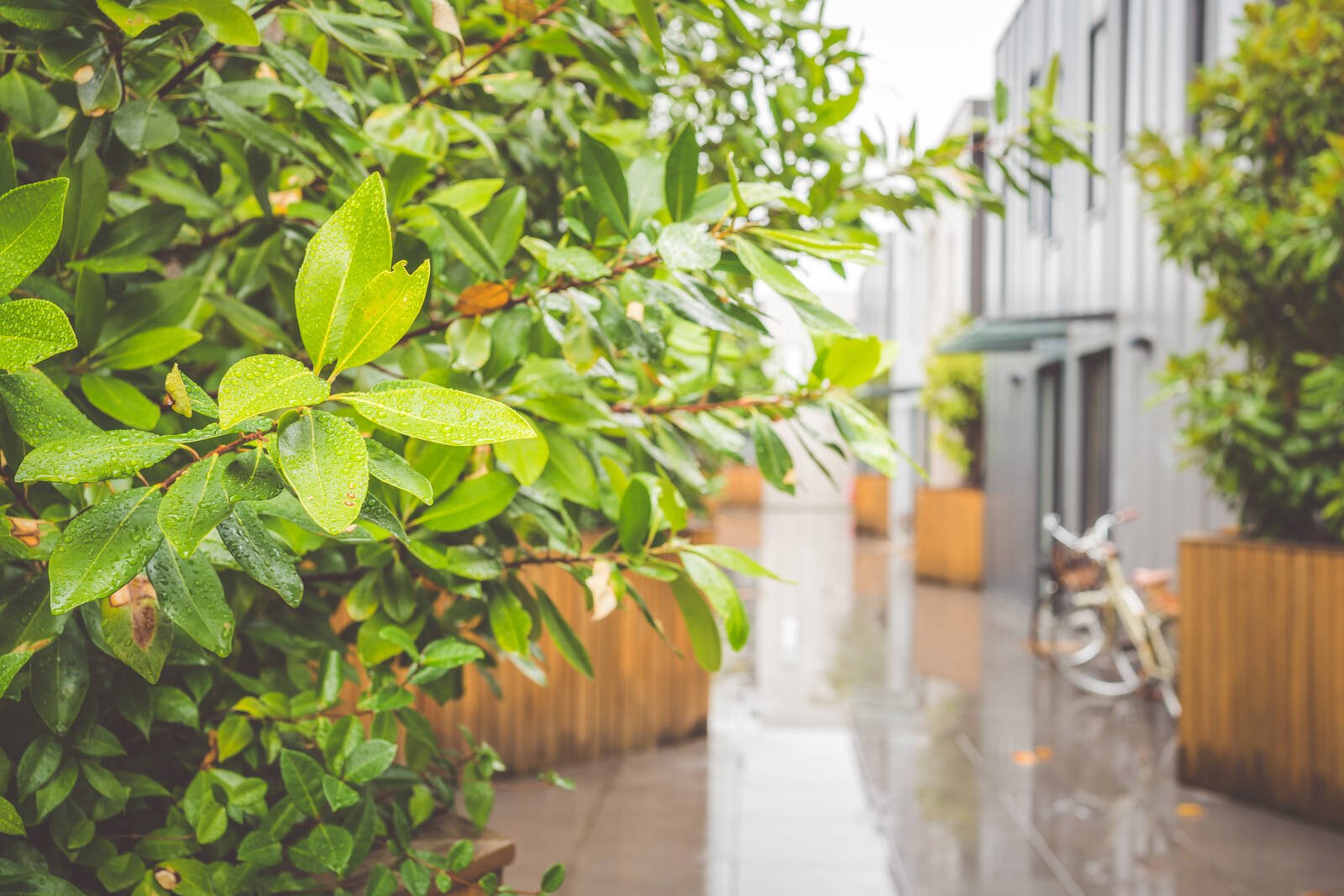 Real Estate and Property in 6/85 Nicholson Street, Abbotsford, VIC