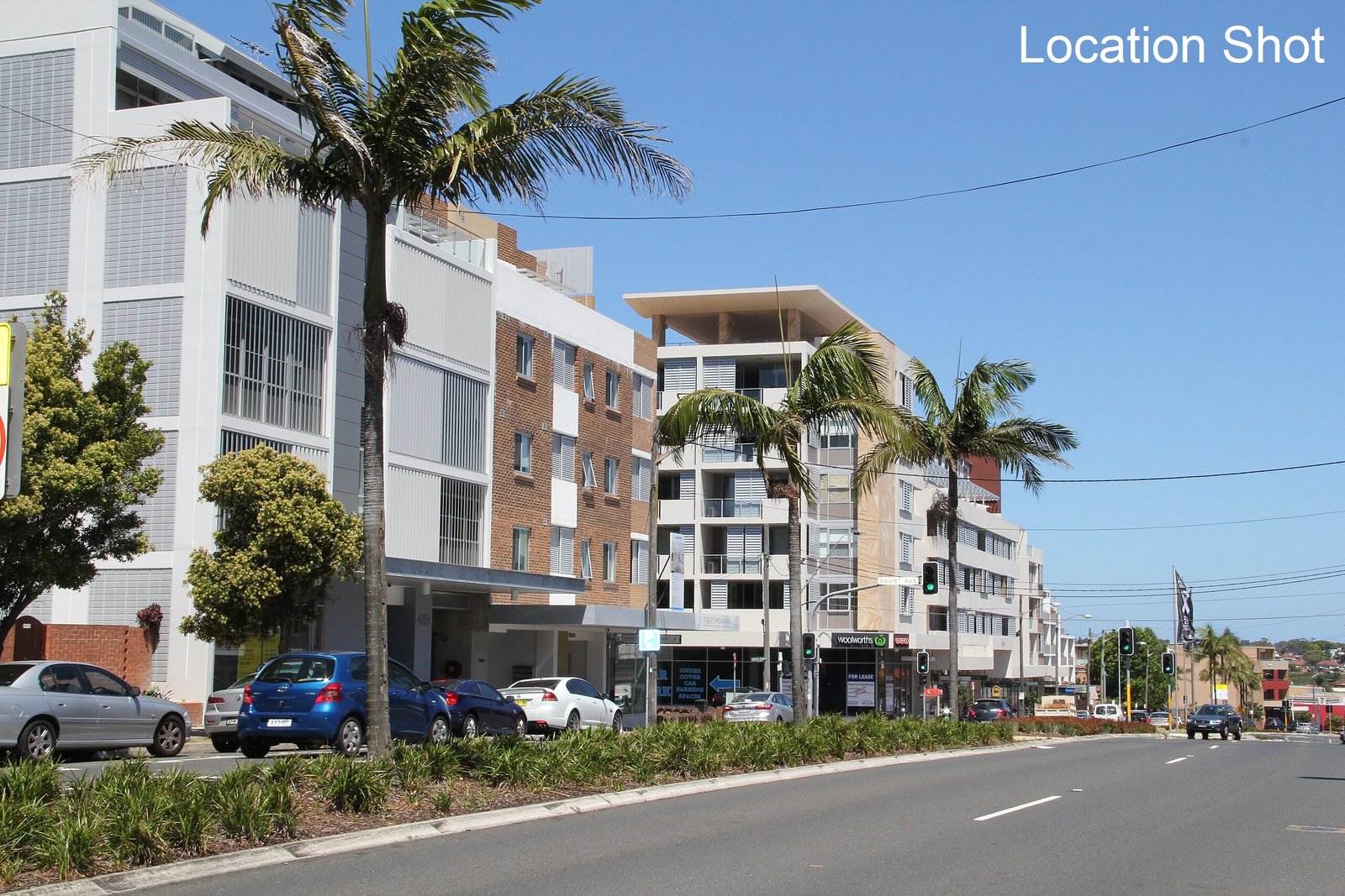 6/9 Flack Avenue HILLSDALE 16