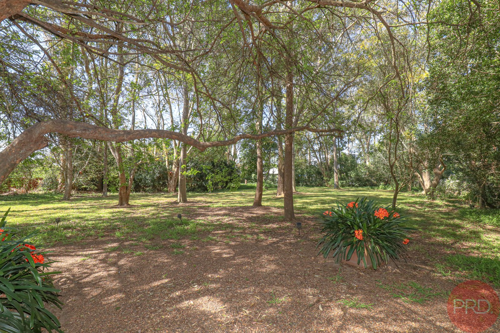 69 Kensington Road BOLWARRA 18