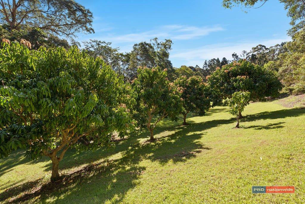 69 Korora Basin Road KORORA 27