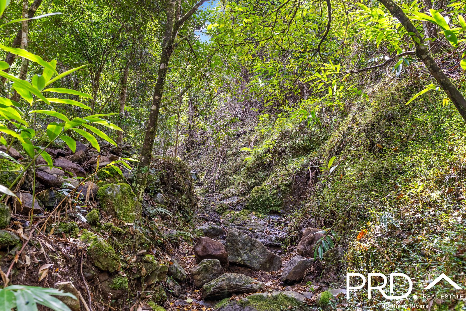 69 Turpentine Road WARRAZAMBIL CREEK 6