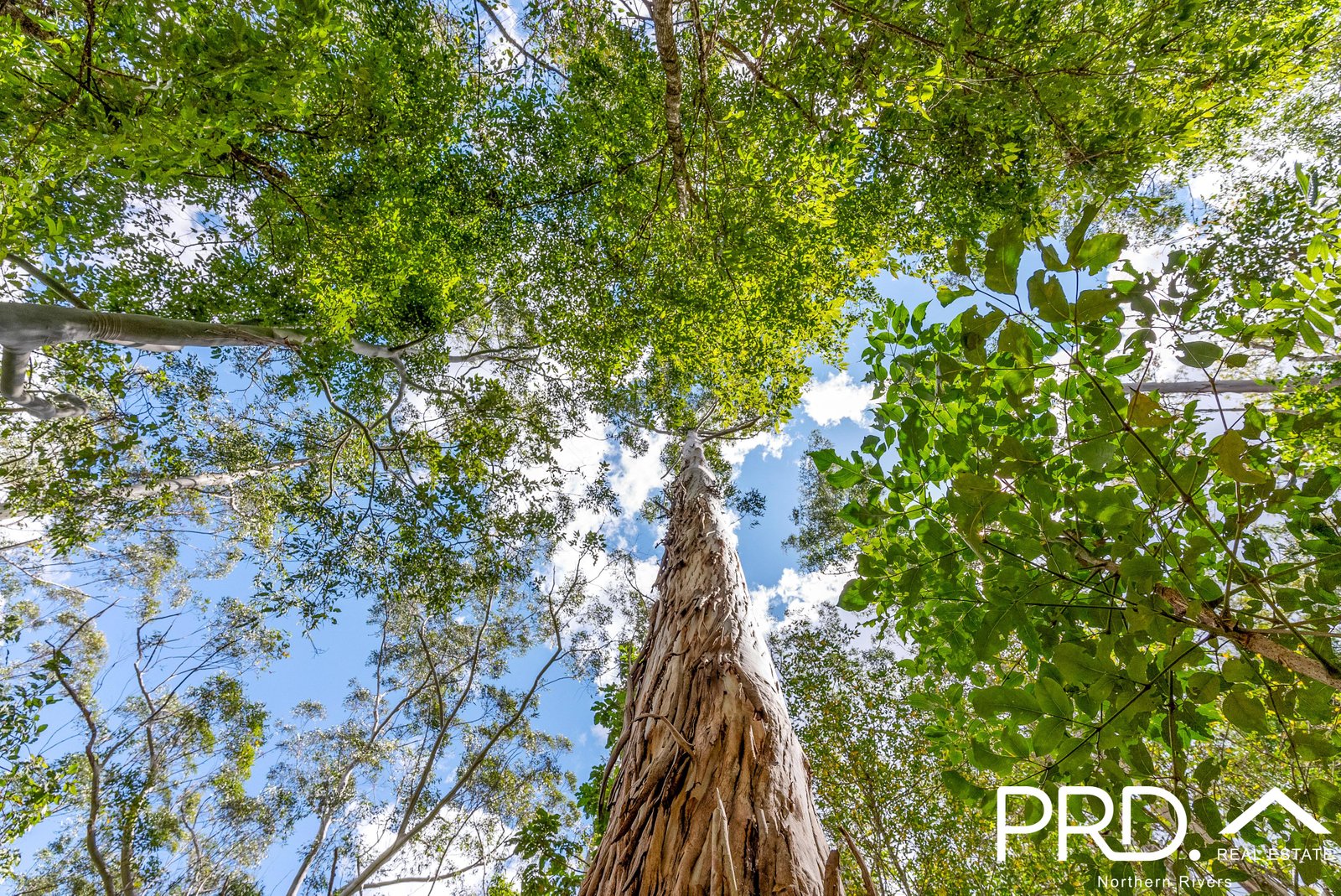 69 Turpentine Road WARRAZAMBIL CREEK 22