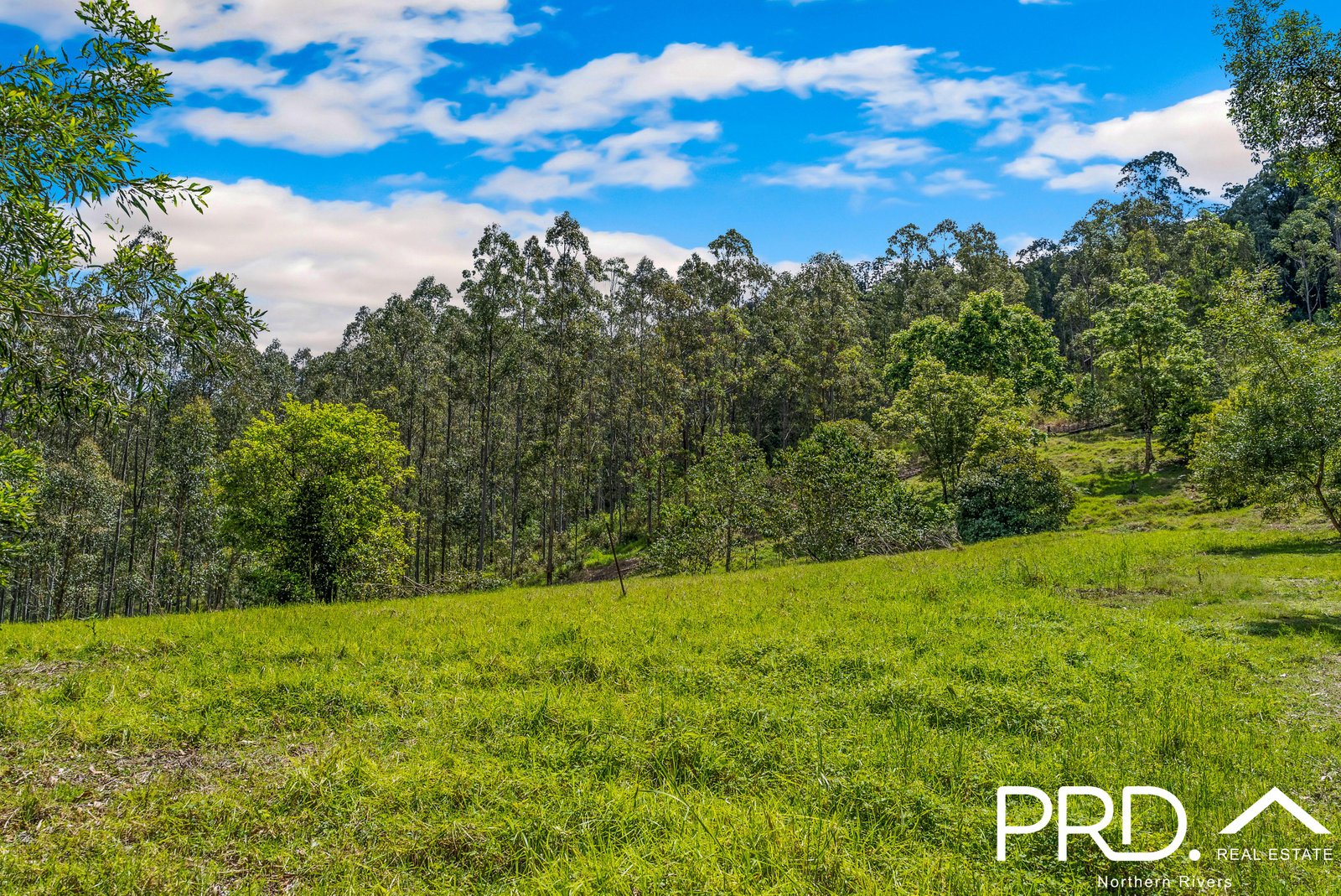 69 Turpentine Road WARRAZAMBIL CREEK 25