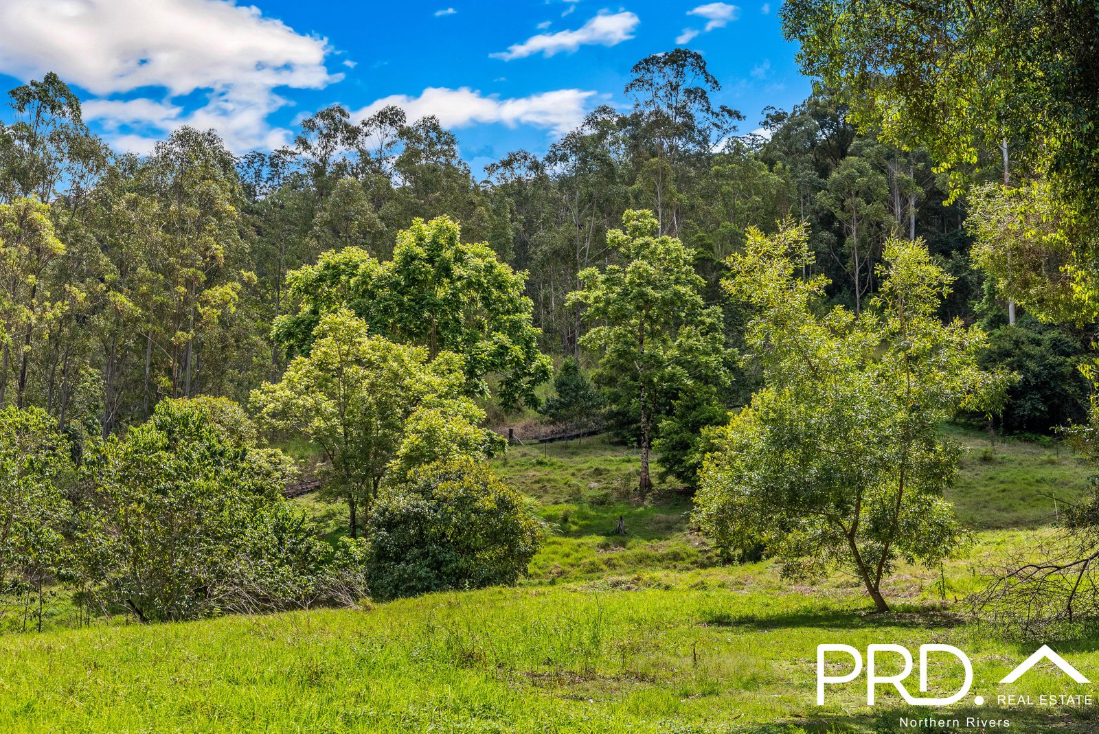 69 Turpentine Road WARRAZAMBIL CREEK 26