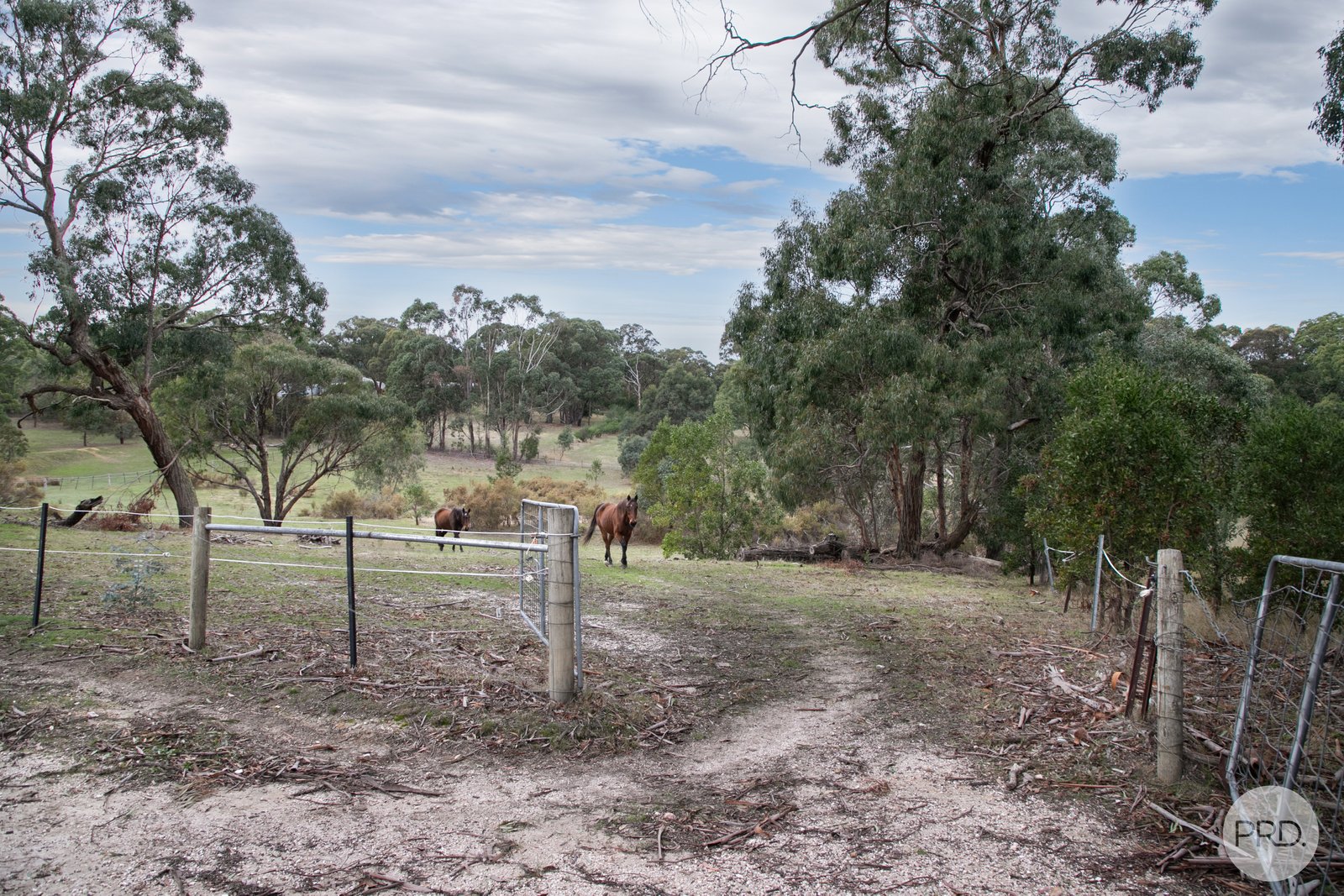 69 Wild Orchid Road CRESWICK 19