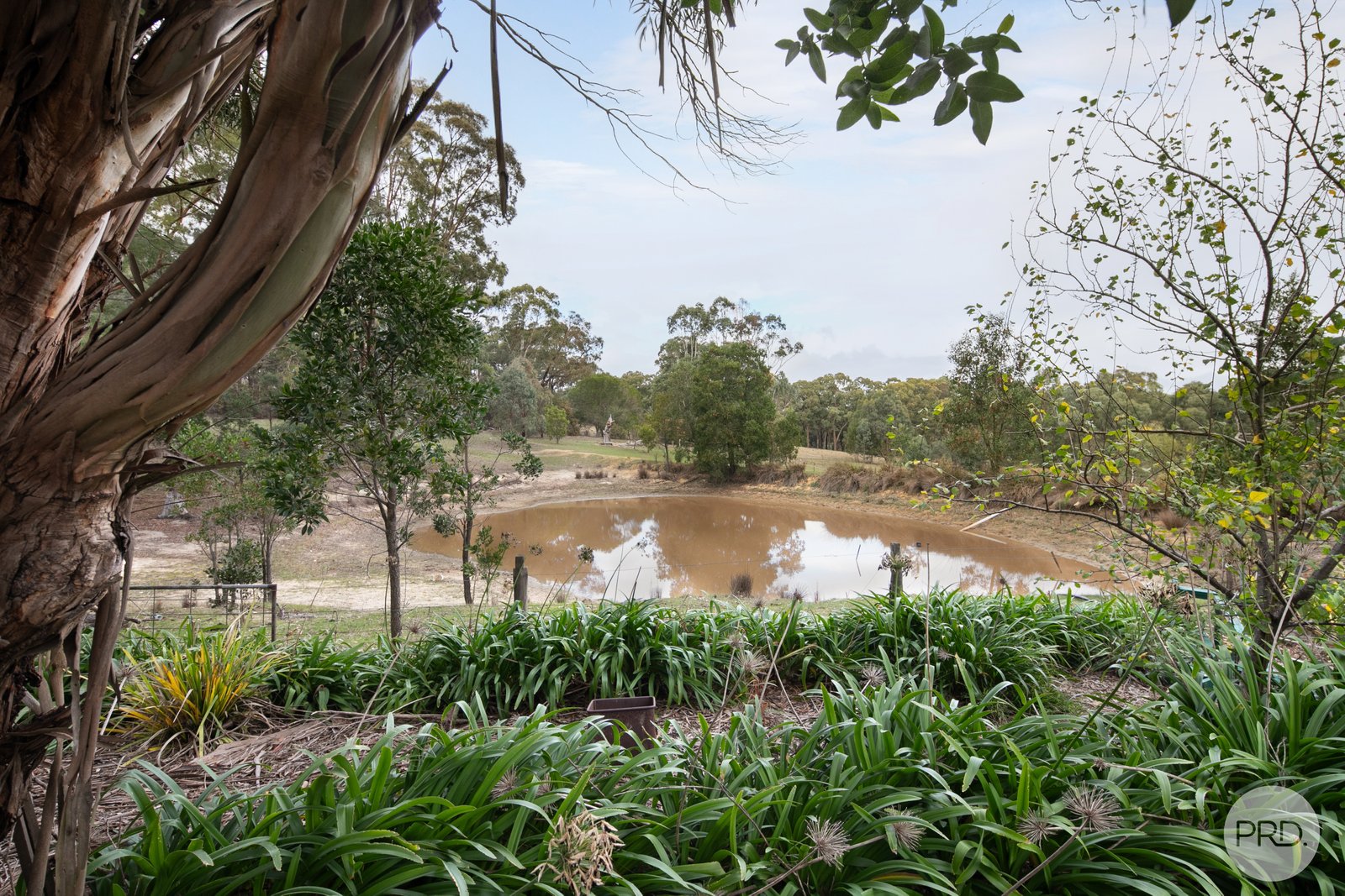69 Wild Orchid Road CRESWICK 22