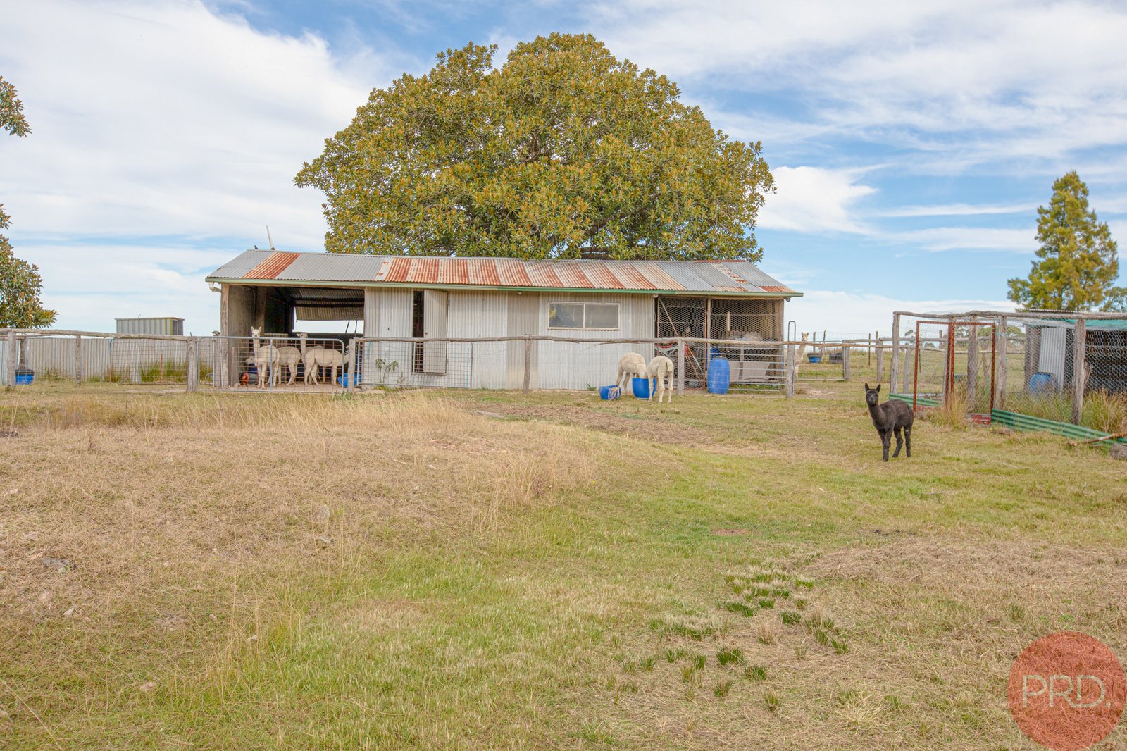 690 Lambs Valley Road LAMBS VALLEY 31