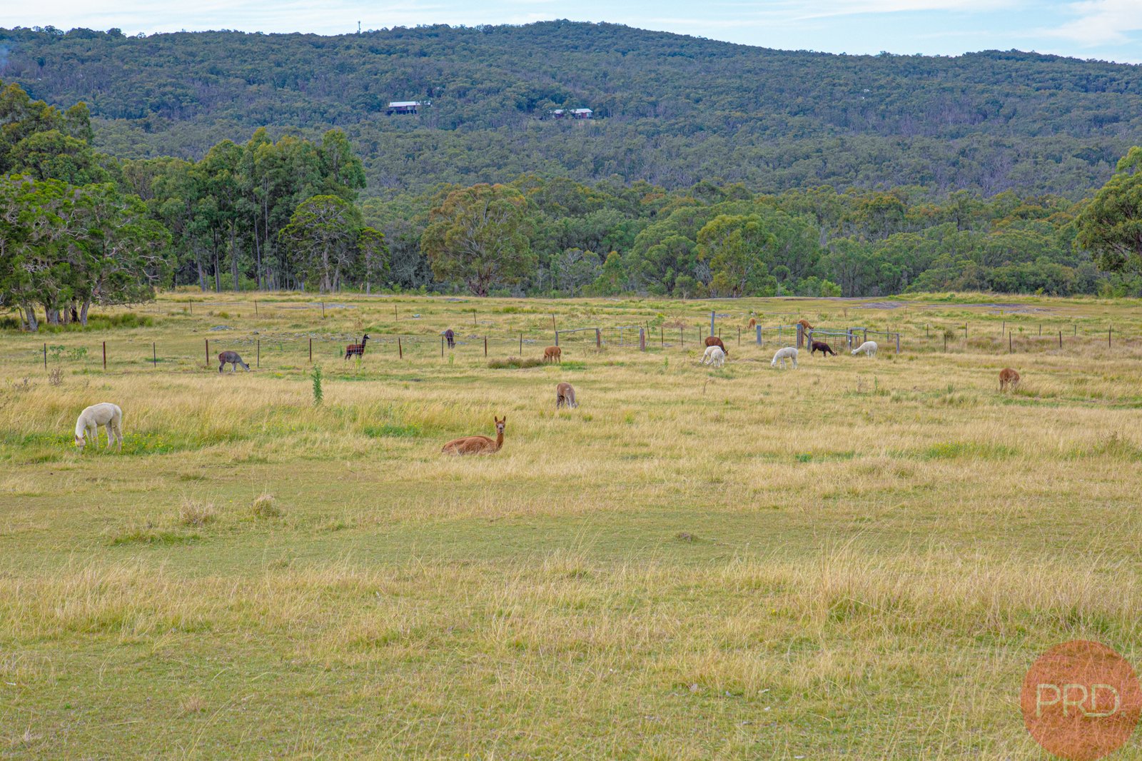 690 Lambs Valley Road LAMBS VALLEY 34