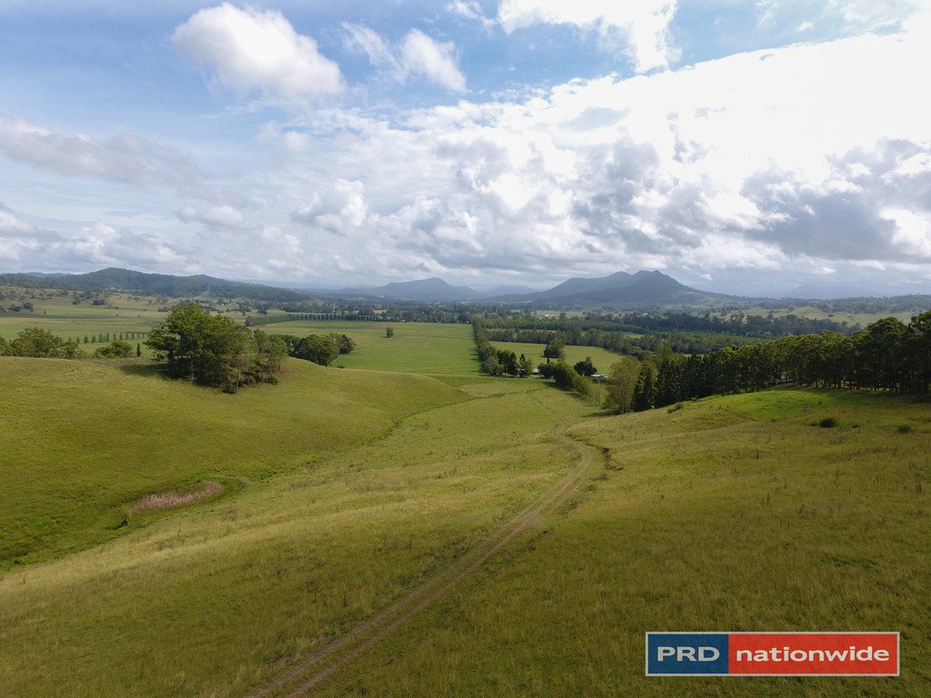 691 Wiangaree Back Road KYOGLE 15