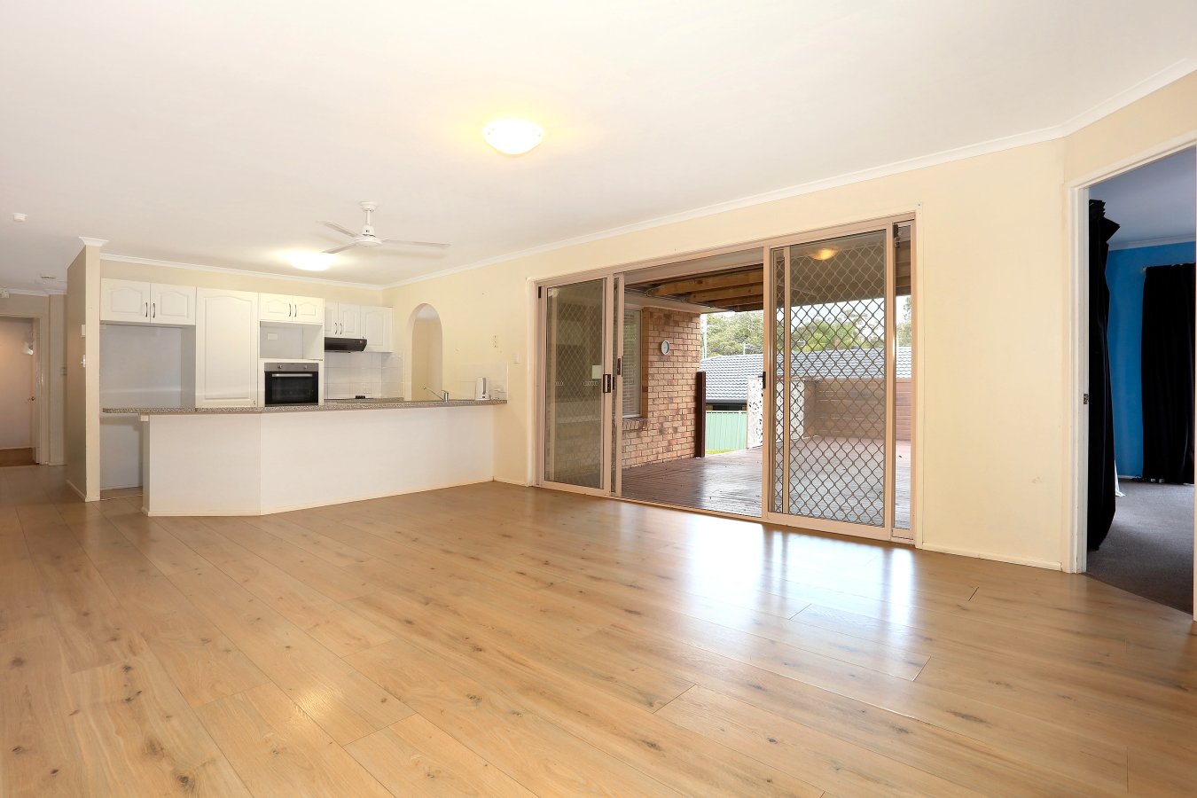 693 Ashmore Road MOLENDINAR 3