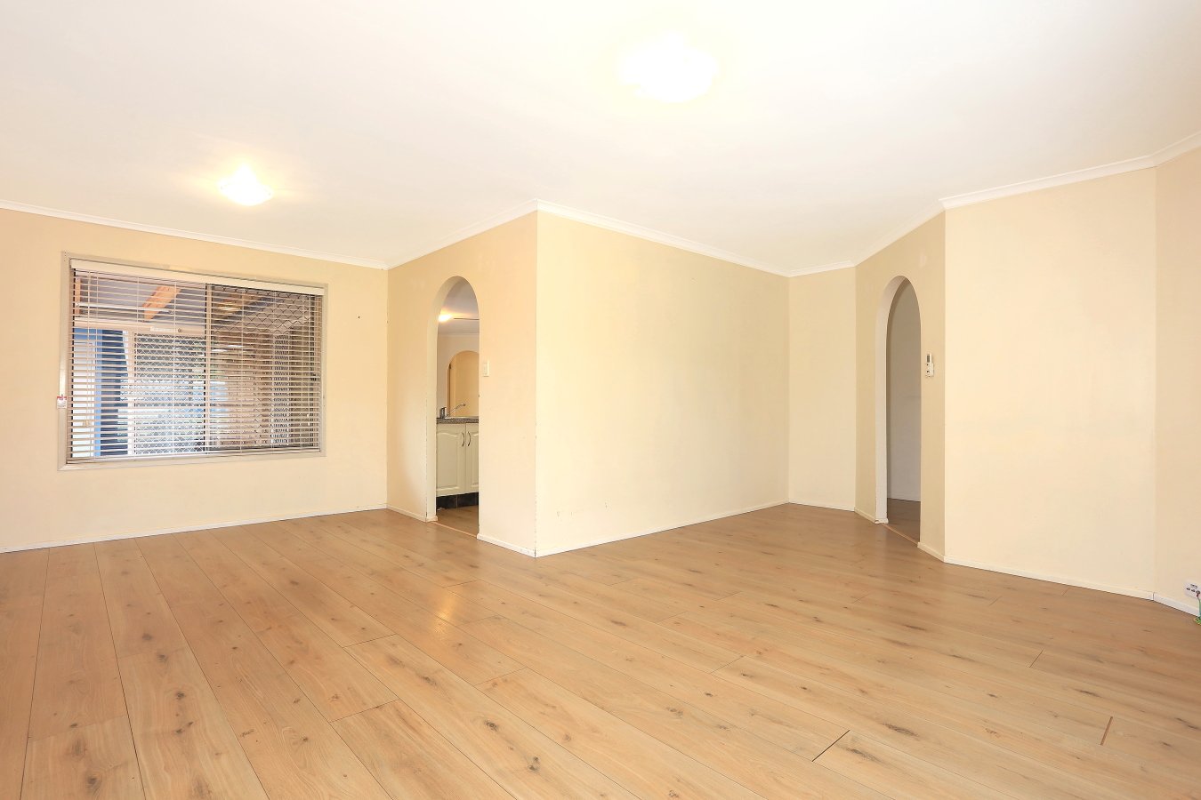 693 Ashmore Road MOLENDINAR 8
