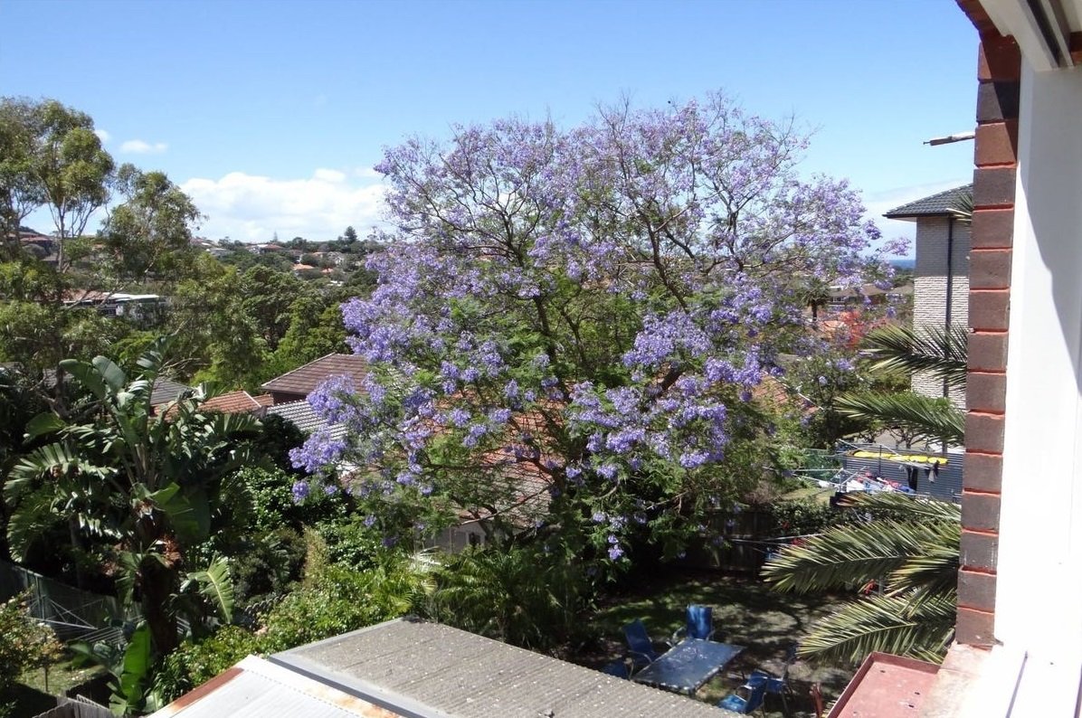 6/94 Coogee Bay Road COOGEE 3