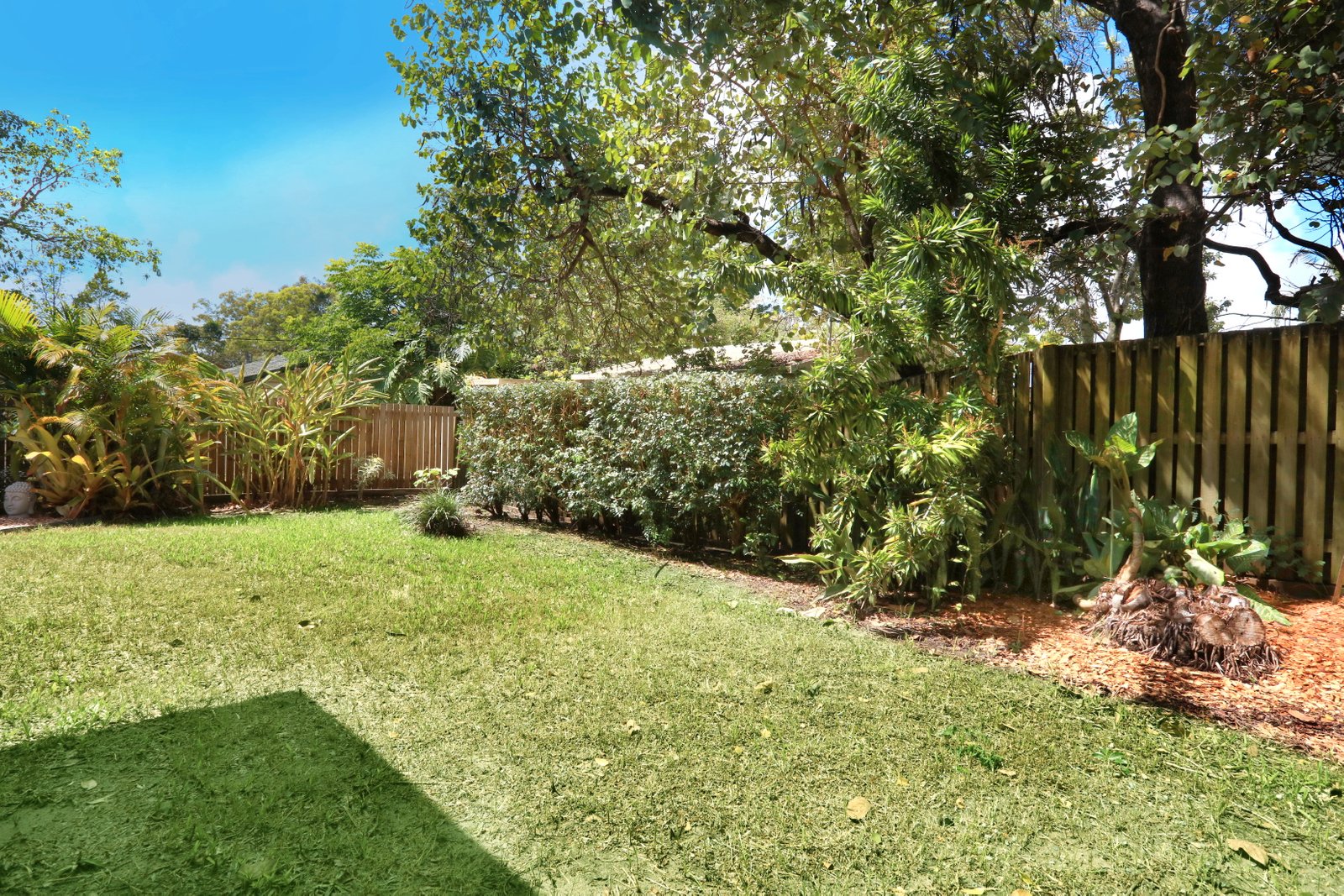 696 Southport Nerang Road (Ned Easement) ASHMORE 15